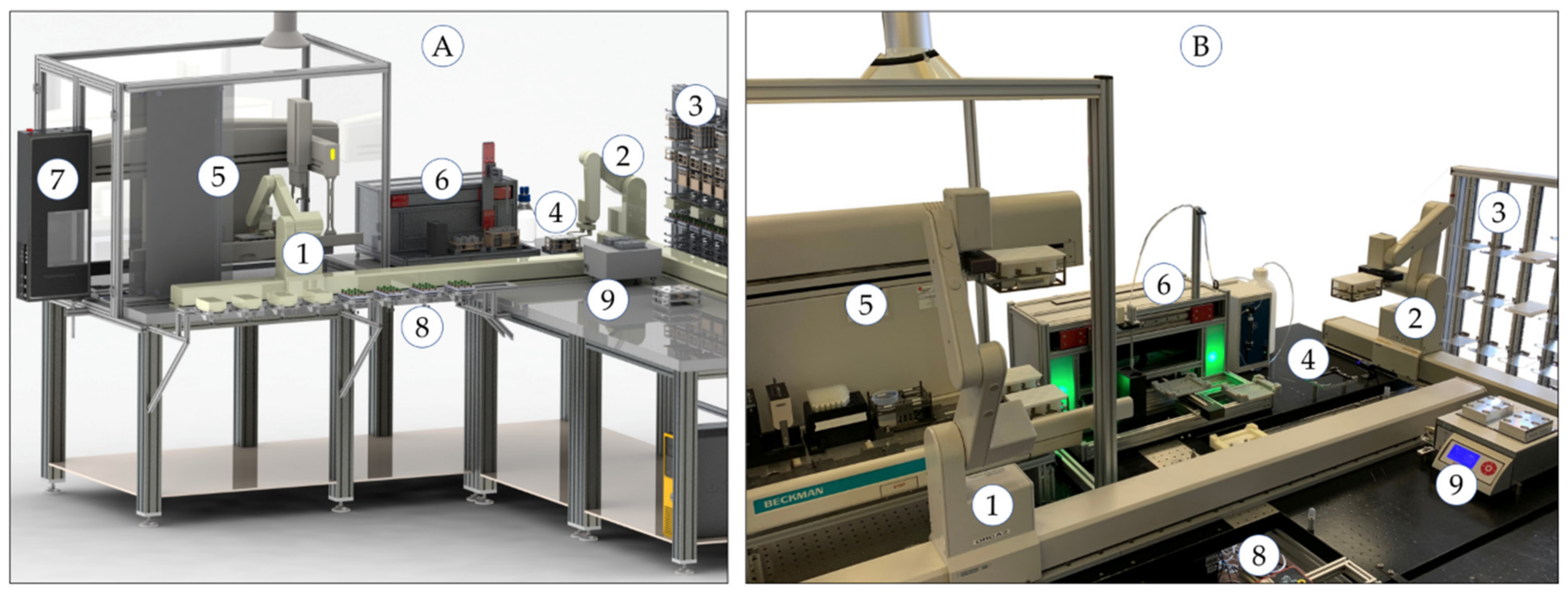 Molecules 26 03820 g002