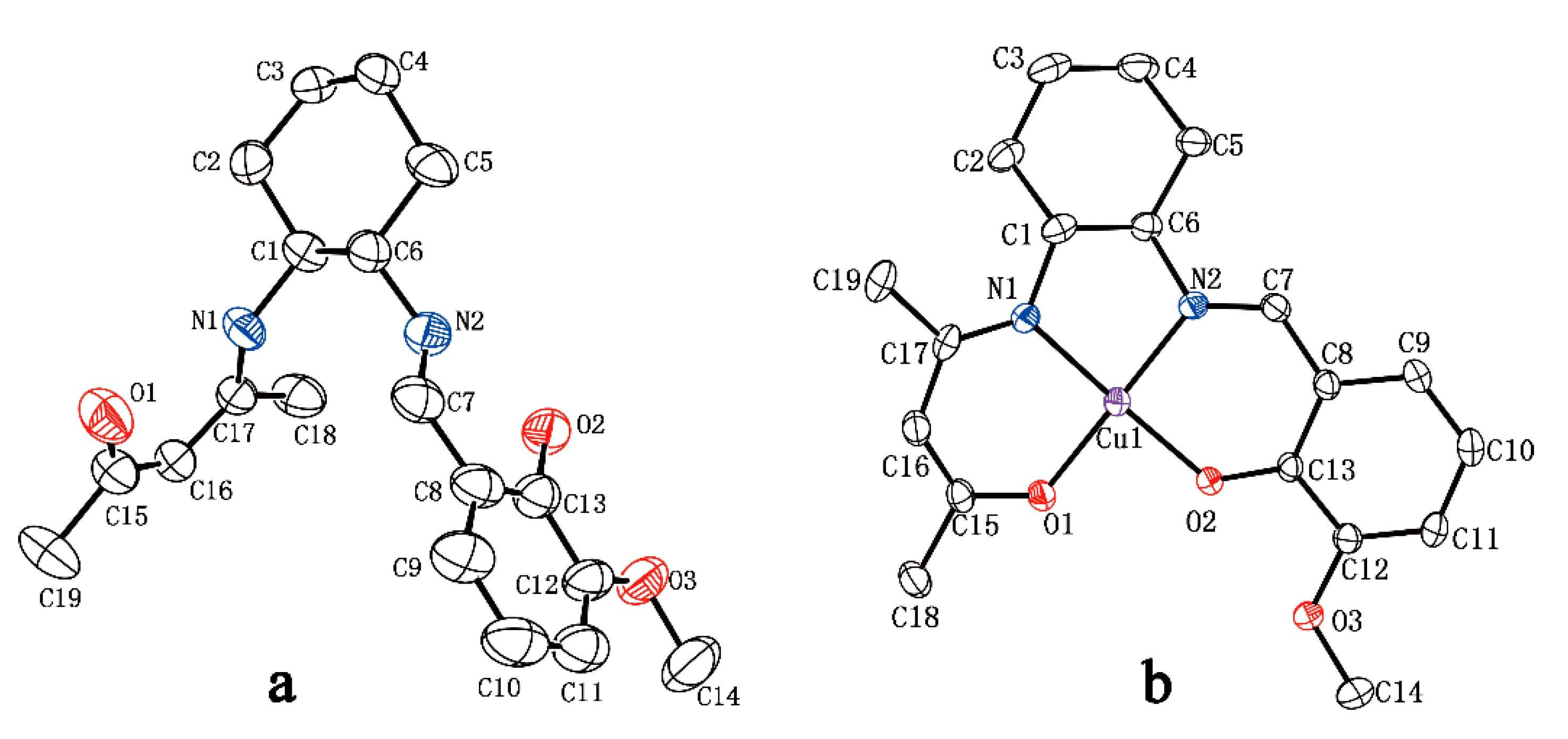 Molecules 26 03825 g004
