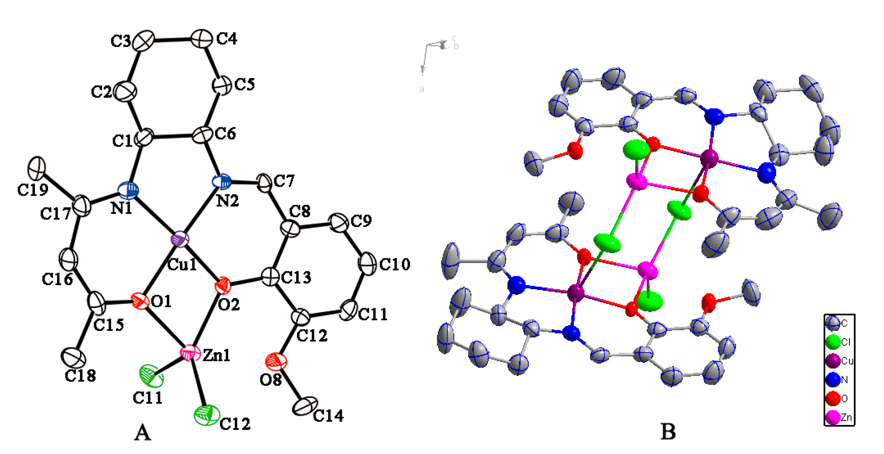 Molecules 26 03825 g005