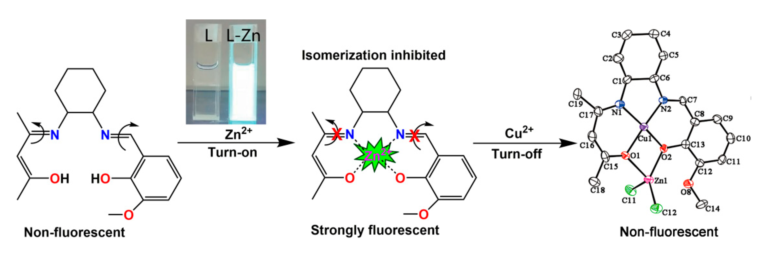 Molecules 26 03825 sch002