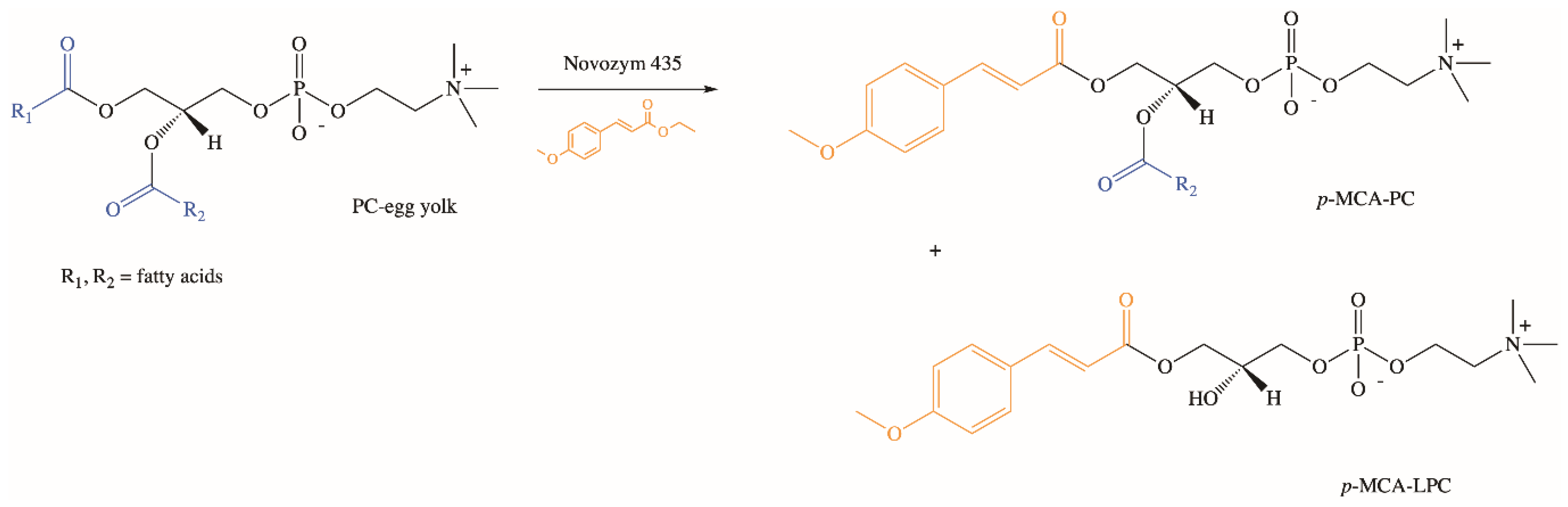 Molecules 26 03827 g005 Molecules 26 03827 g005