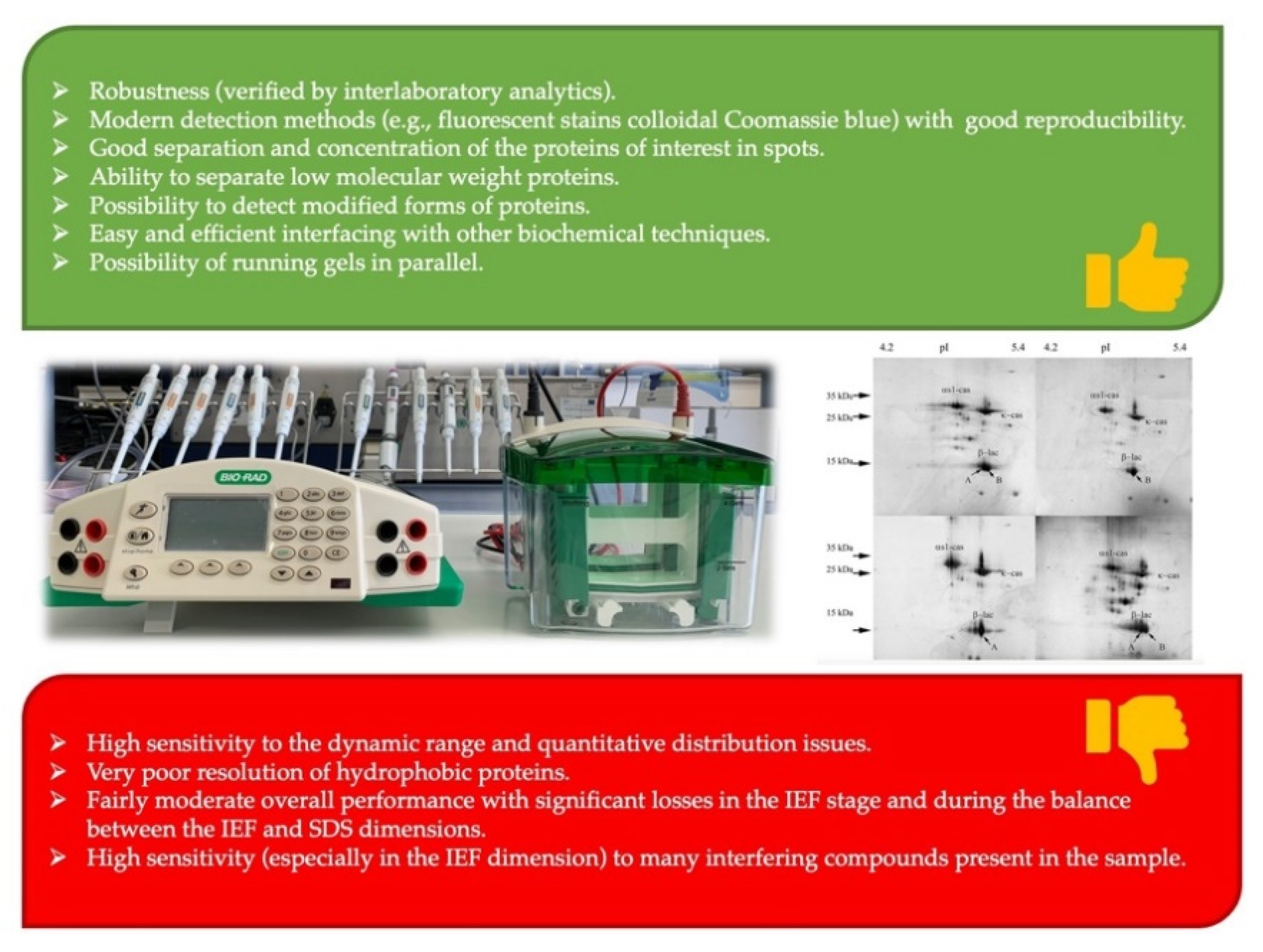 Molecules 26 03832 g001