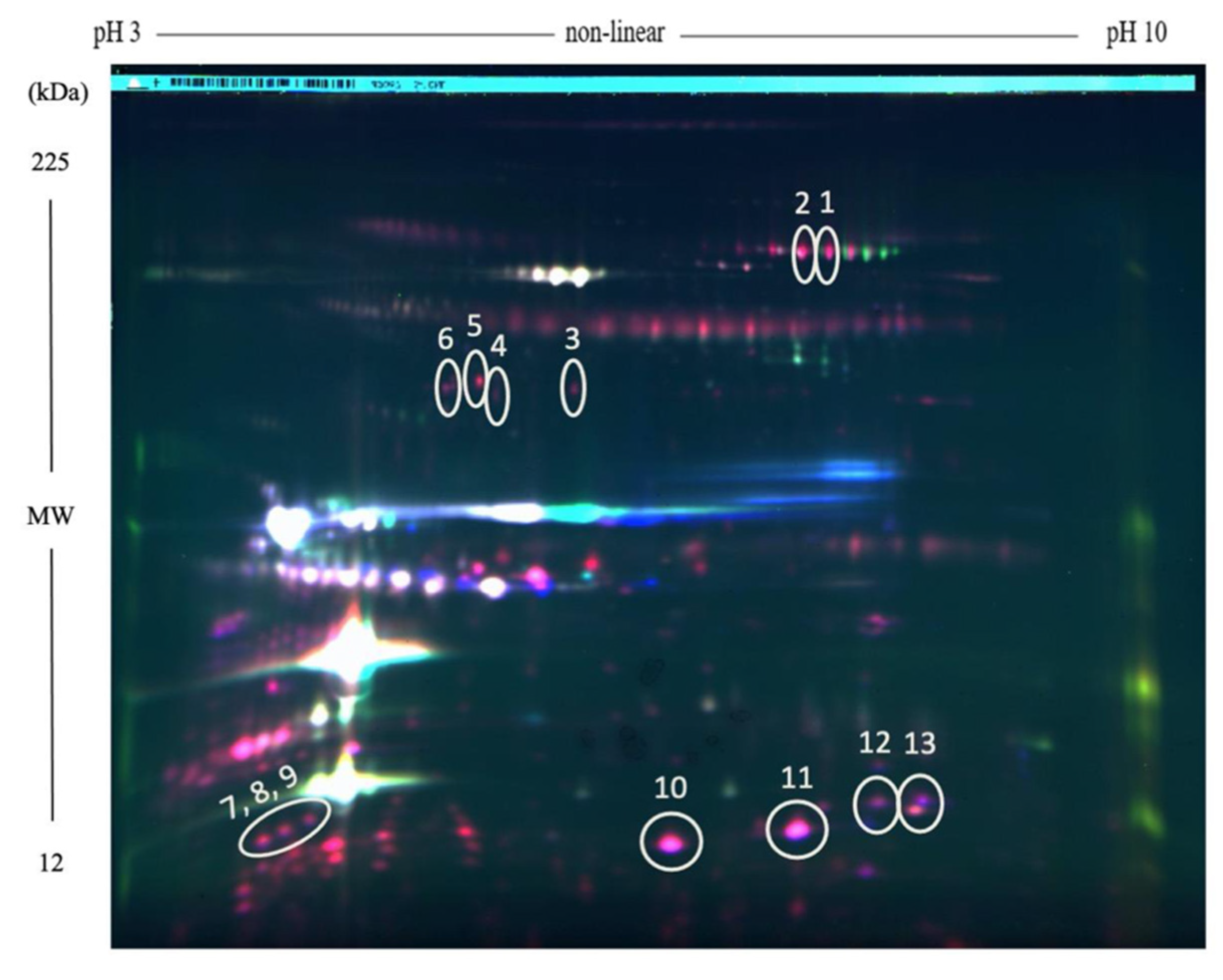 Molecules 26 03832 g002