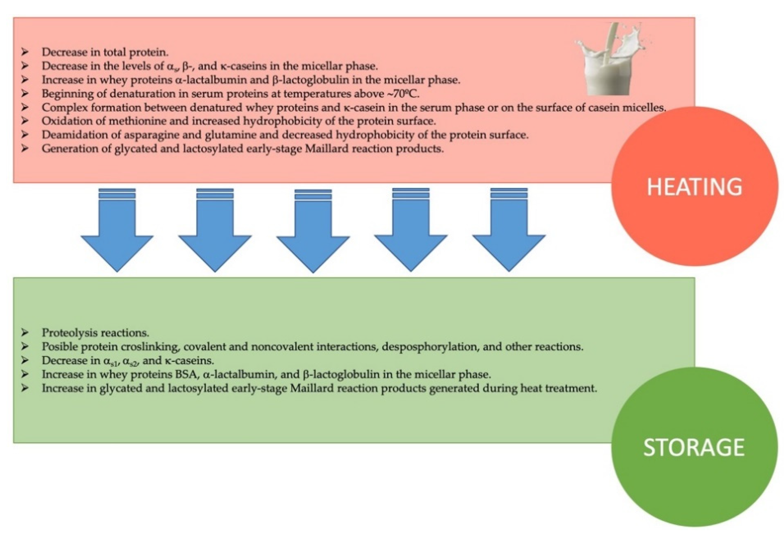 Molecules 26 03832 g003