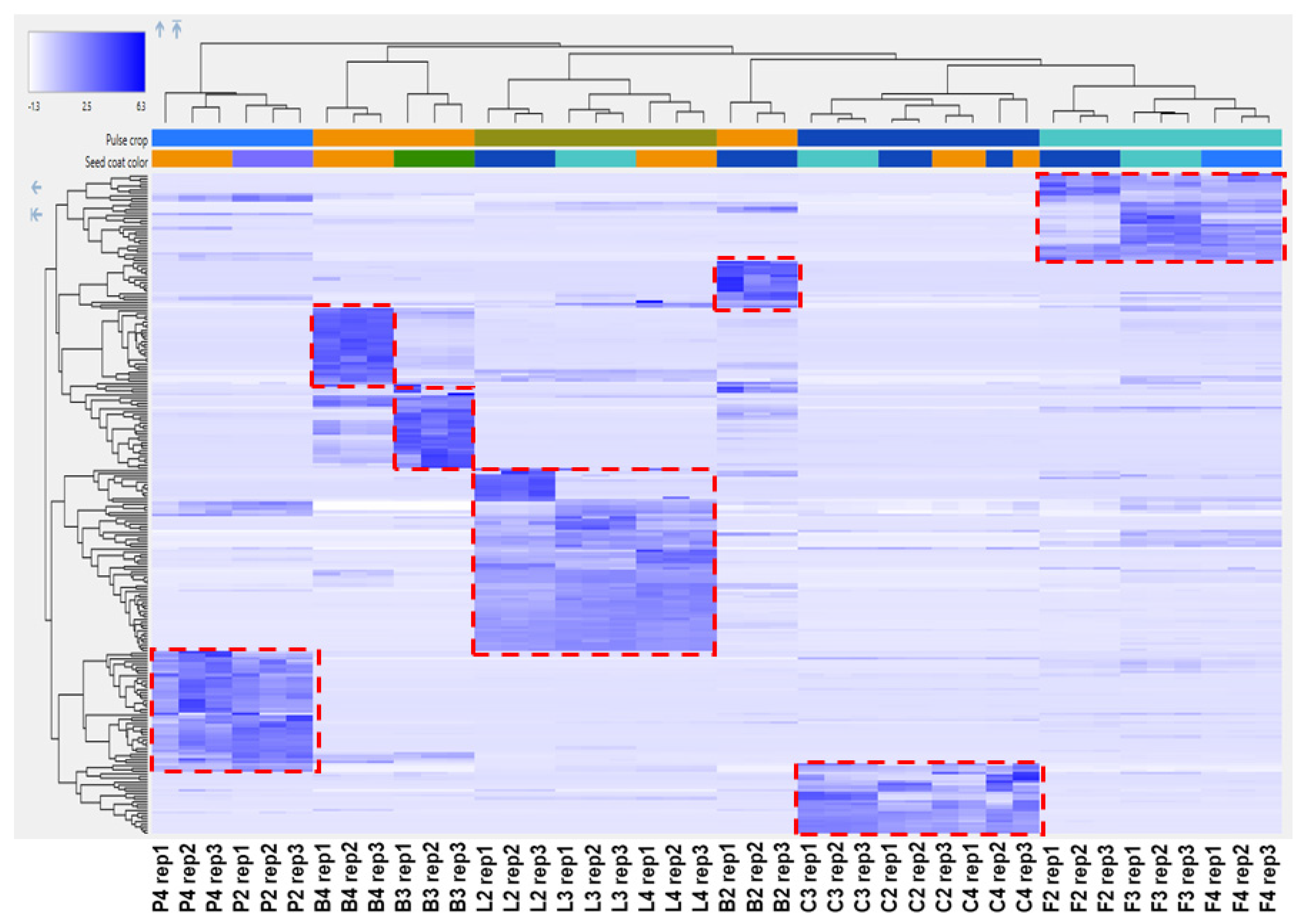 Molecules 26 03833 g005