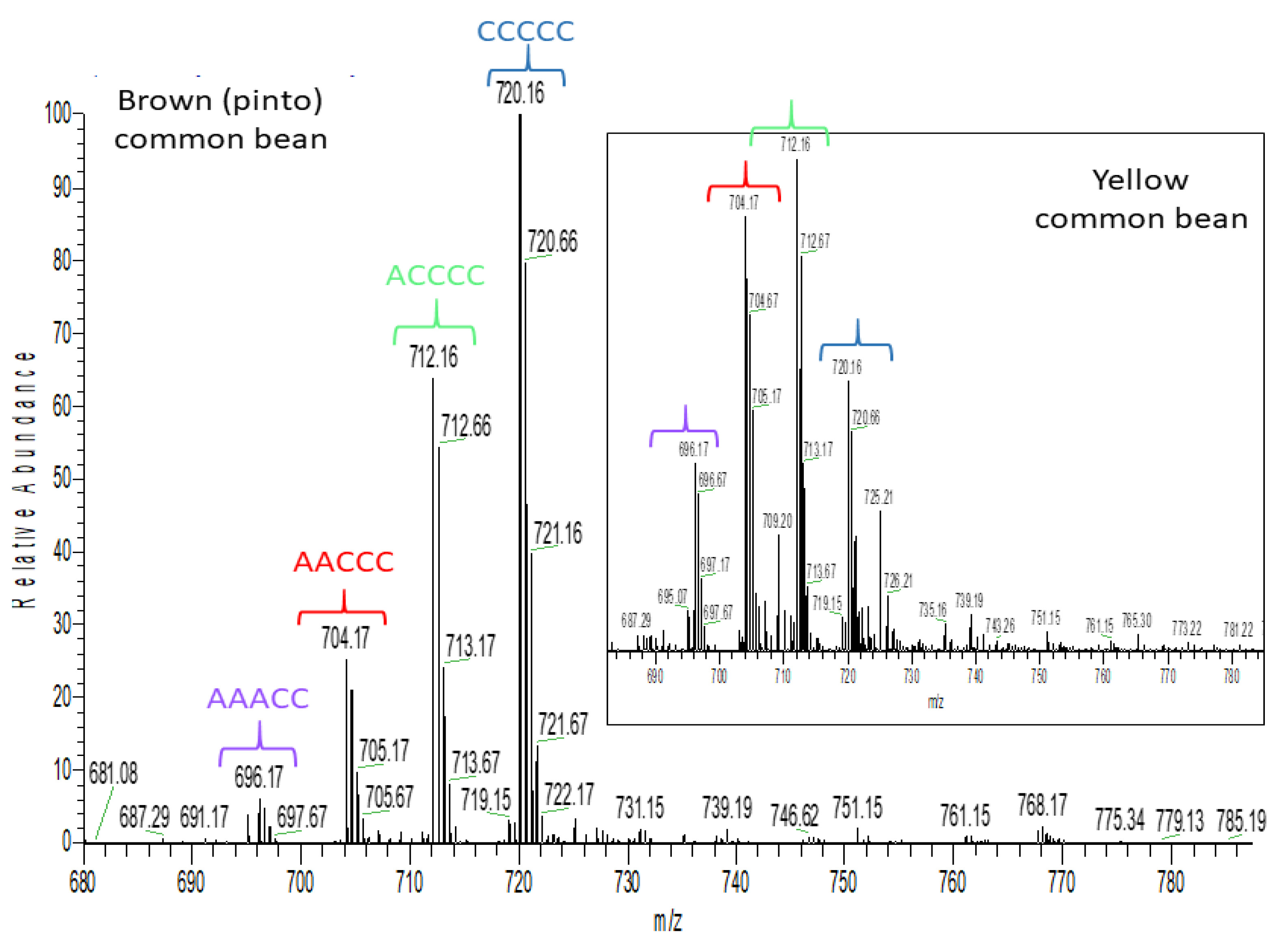 Molecules 26 03833 g006