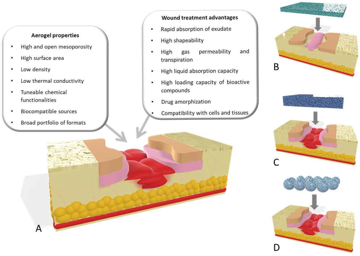 Molecules 26 03834 g003