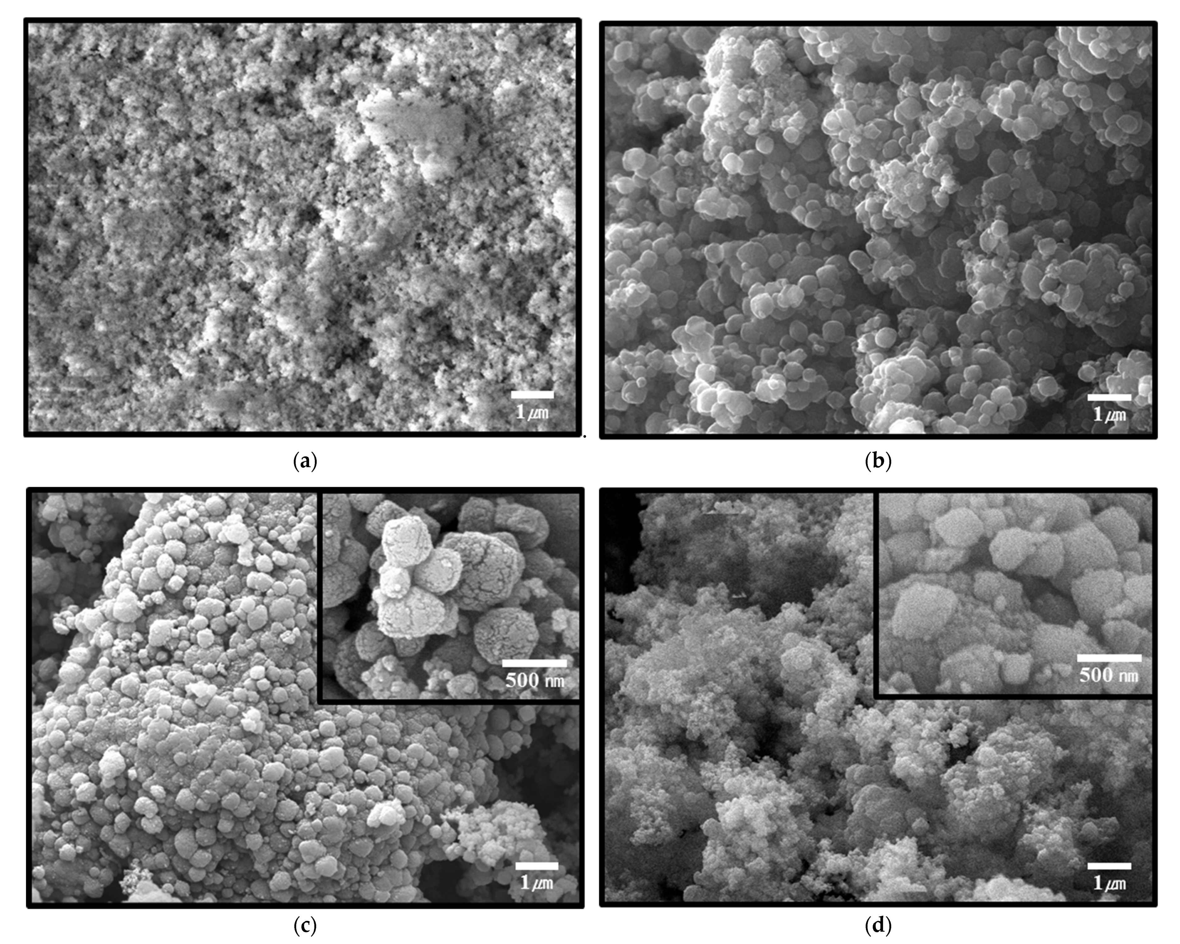 Molecules 26 03837 g001