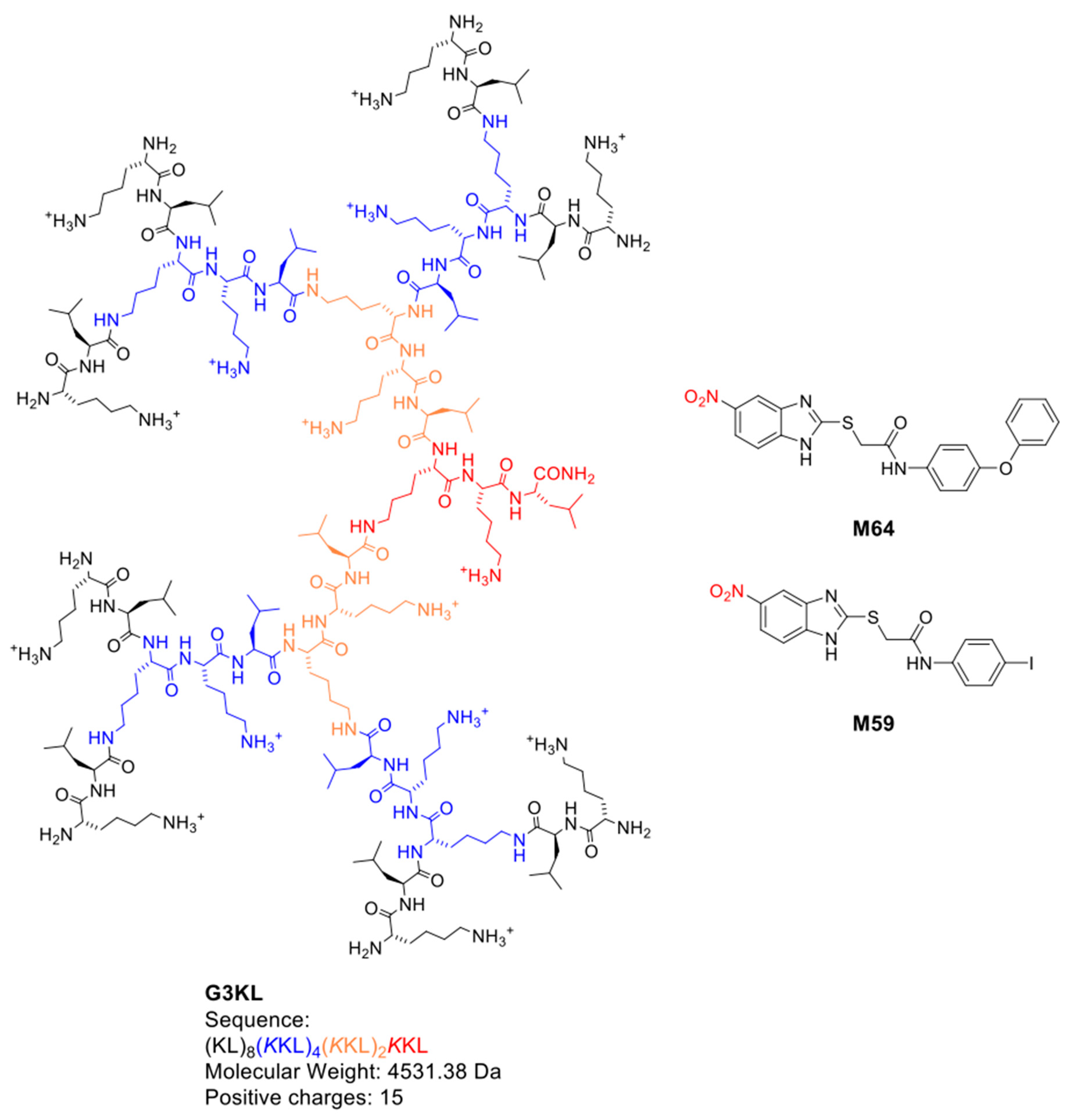 Molecules 26 03839 g001