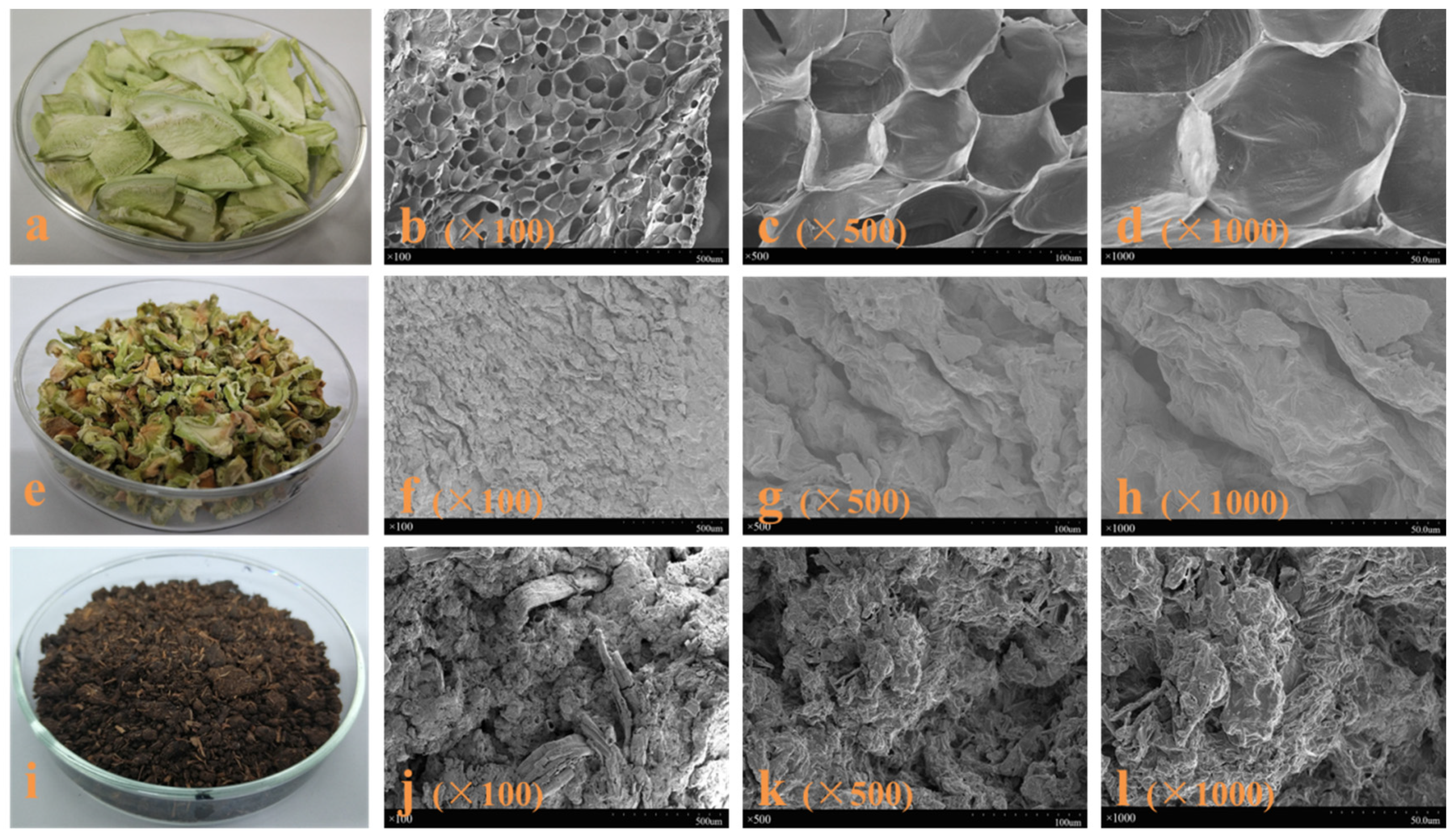 Molecules 26 03841 g001