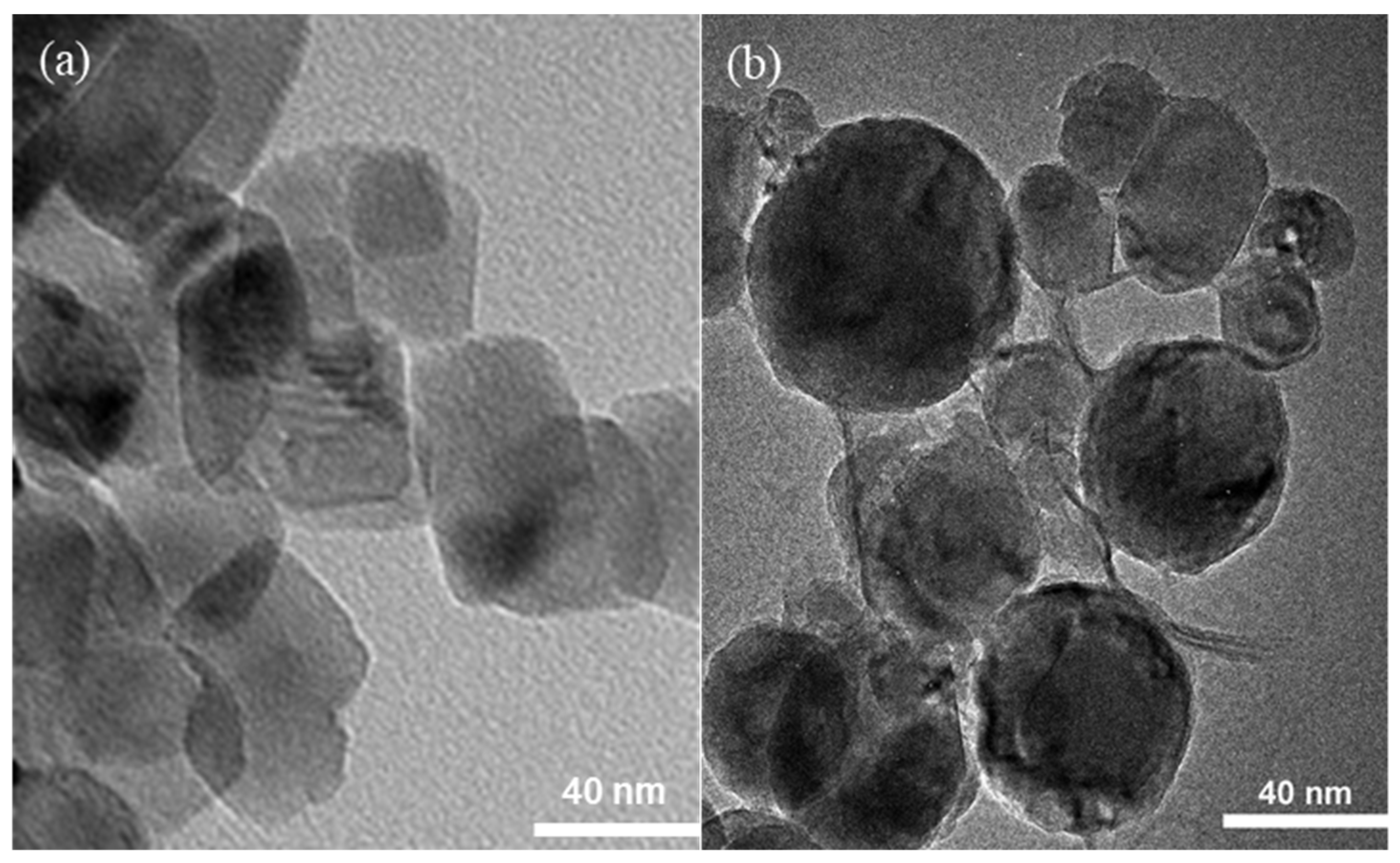 Molecules 26 03844 g002