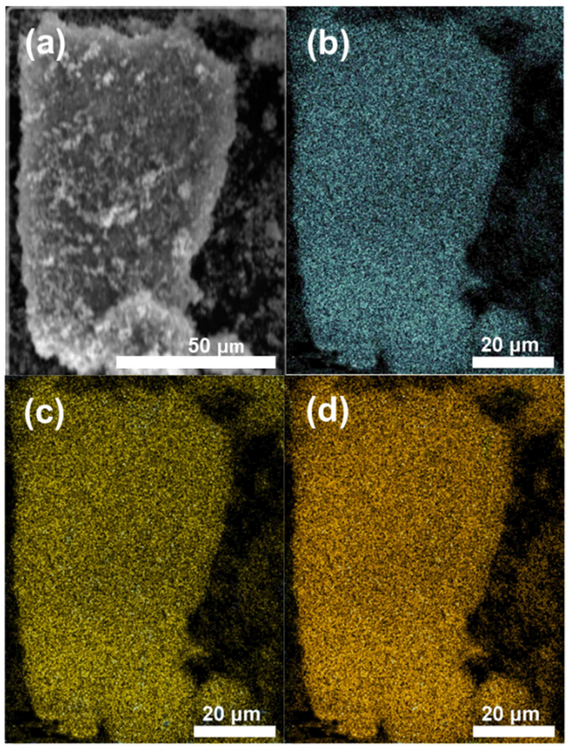 Molecules 26 03844 g003