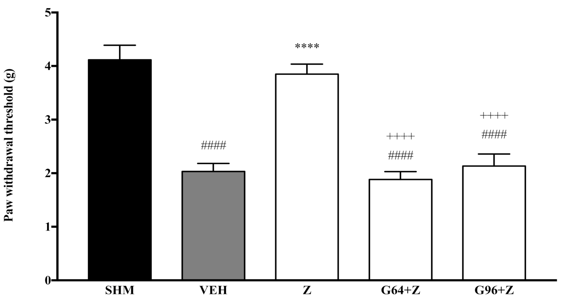Molecules 26 03849 g007 Molecules 26 03849 g007