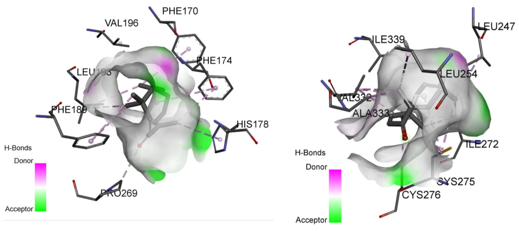 Molecules 26 03849 g010 Molecules 26 03849 g010