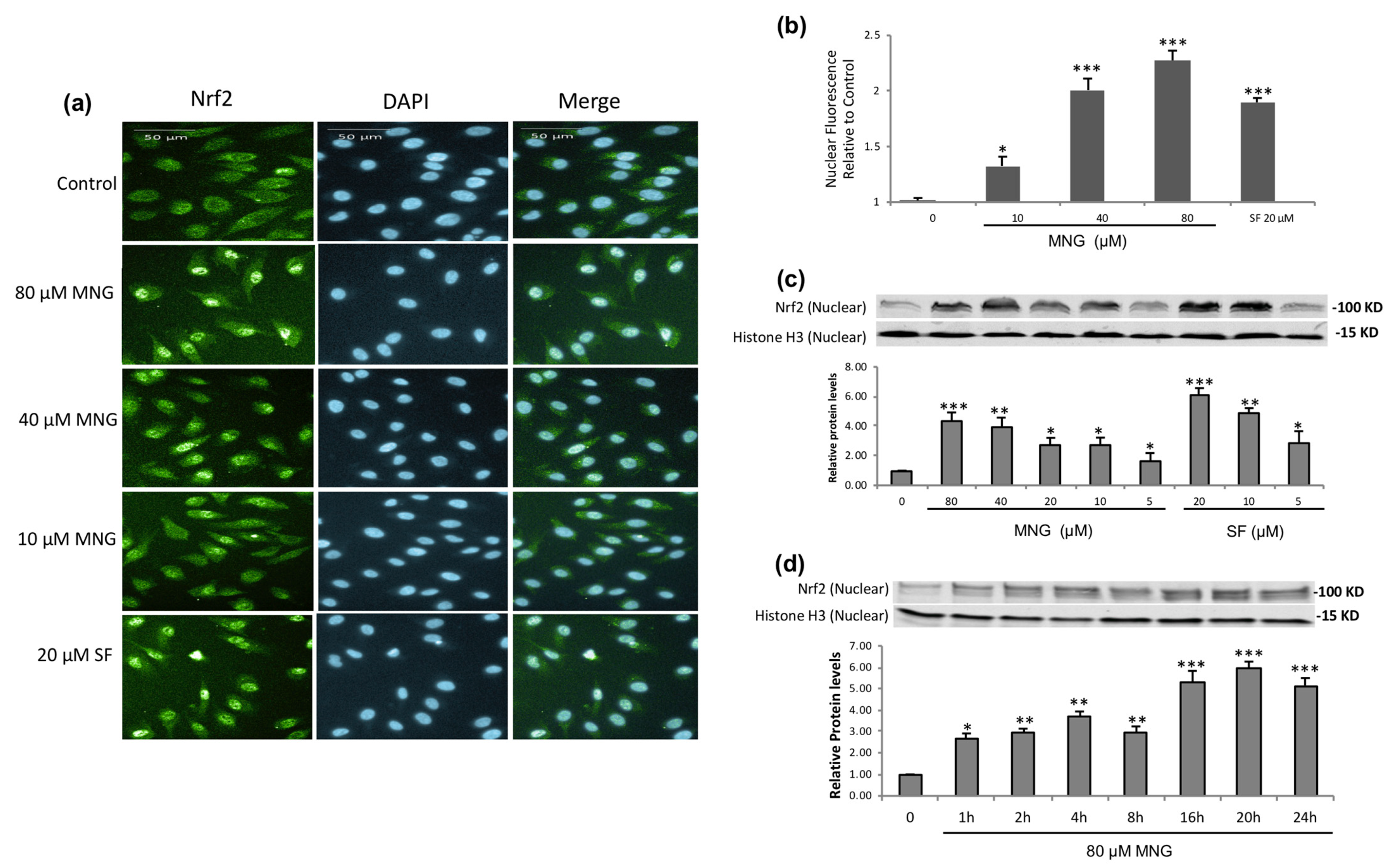 Molecules 26 03852 g004