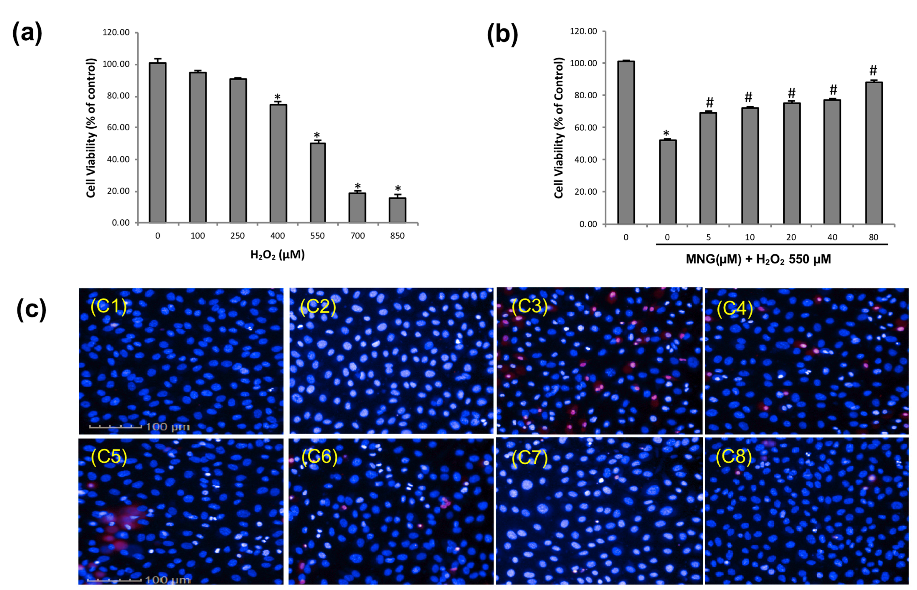 Molecules 26 03852 g005