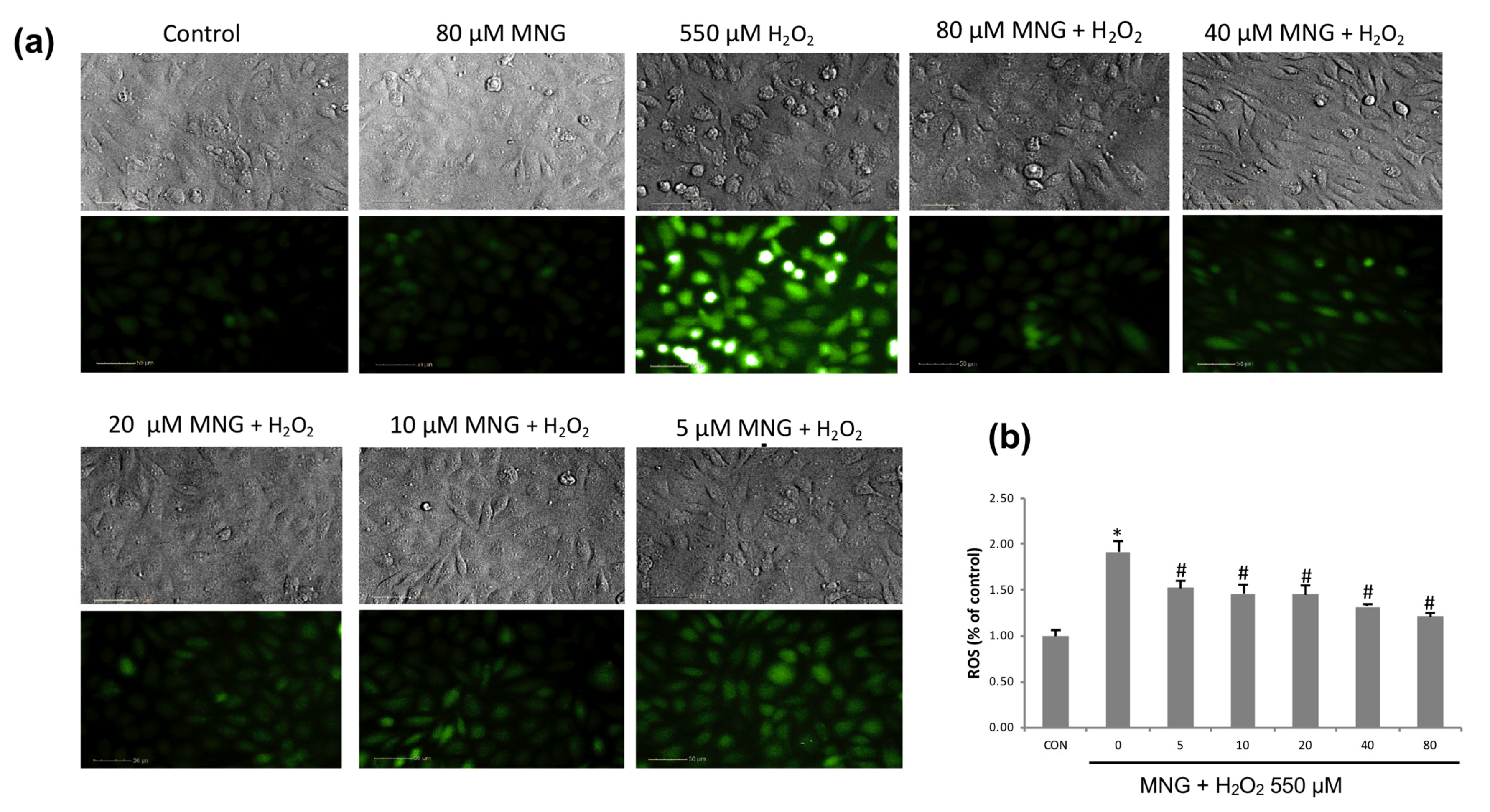 Molecules 26 03852 g006