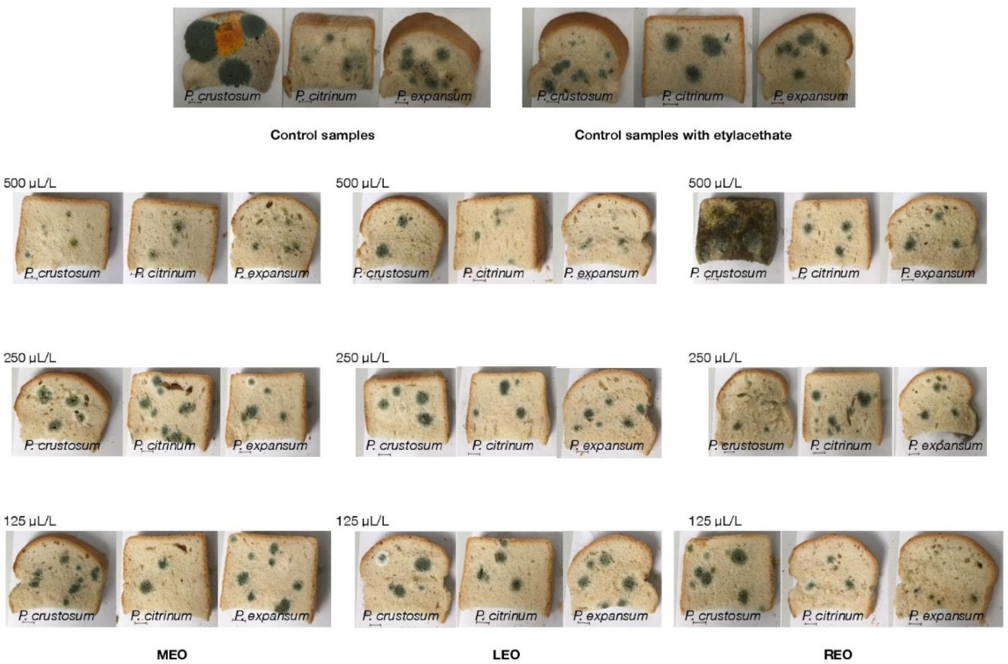 Molecules 26 03859 g001
