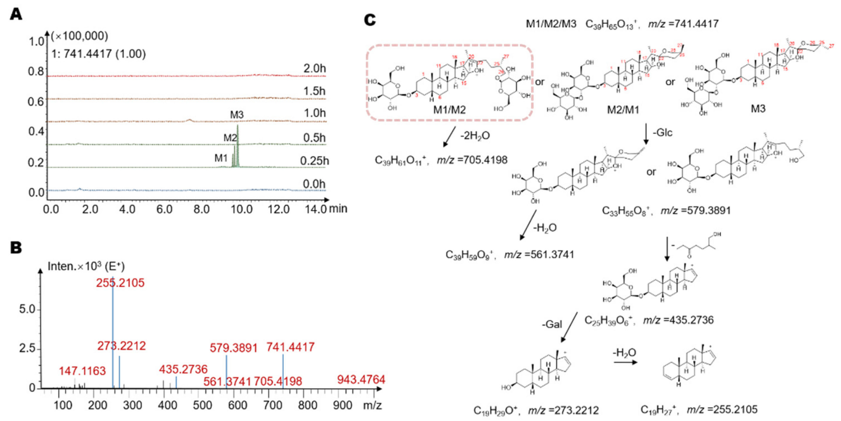 Molecules 26 03861 g003