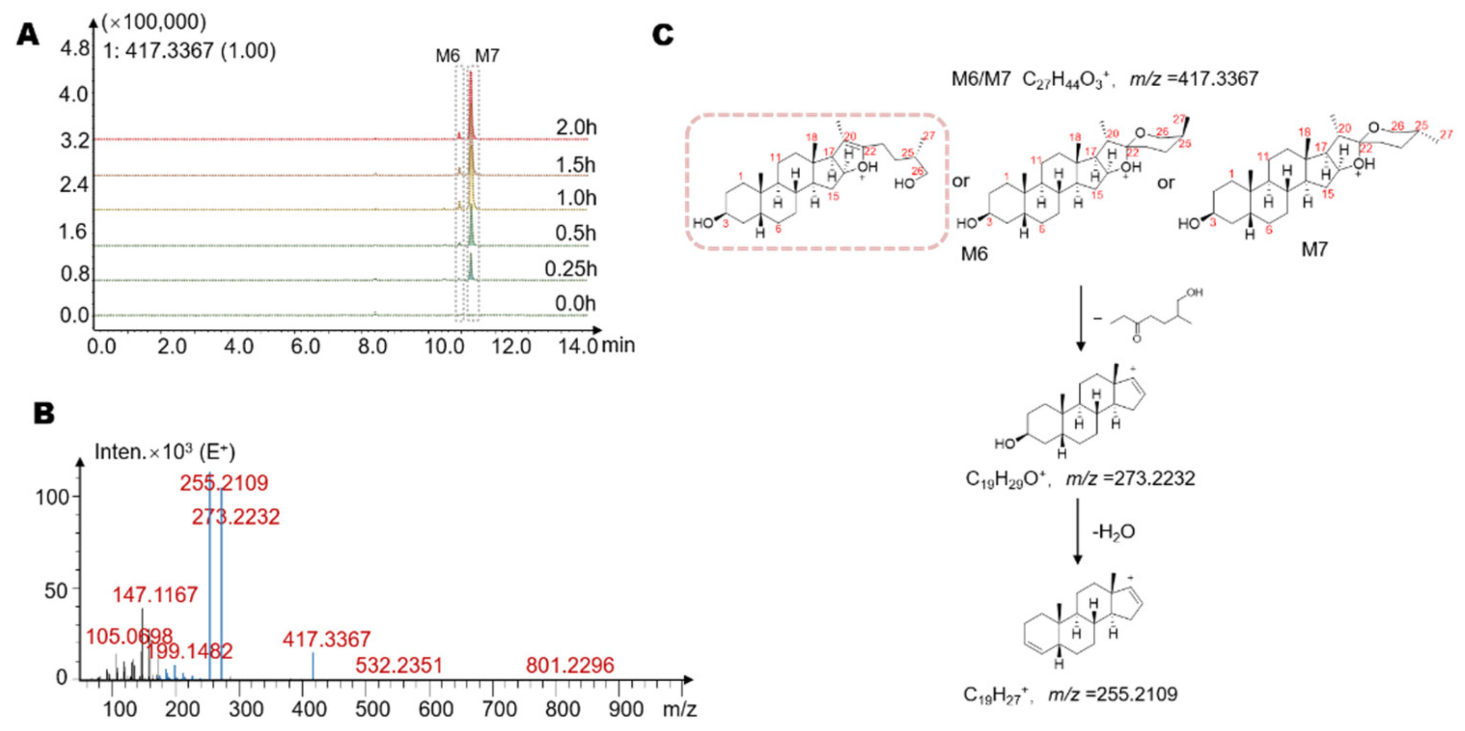 Molecules 26 03861 g005
