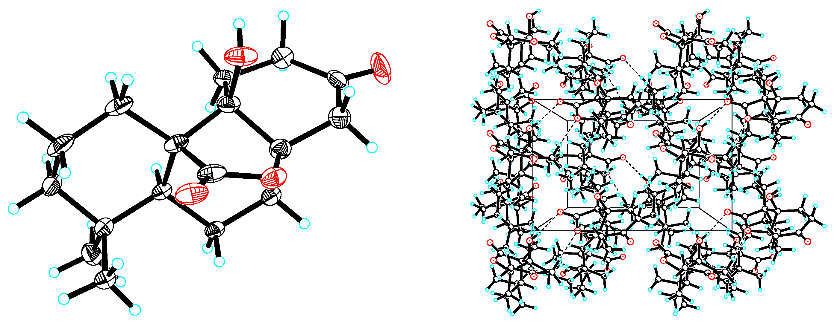 Molecules 26 03865 g005 Molecules 26 03865 g005