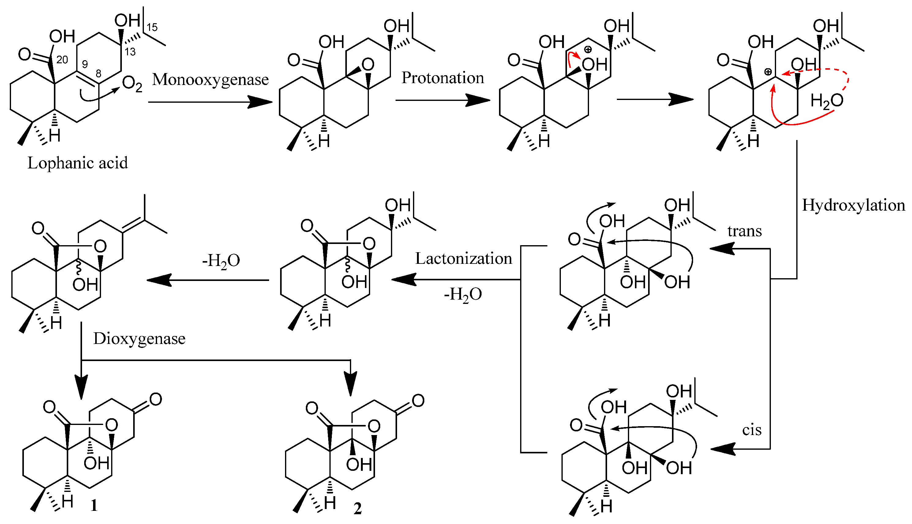 Molecules 26 03865 sch001 Molecules 26 03865 sch001