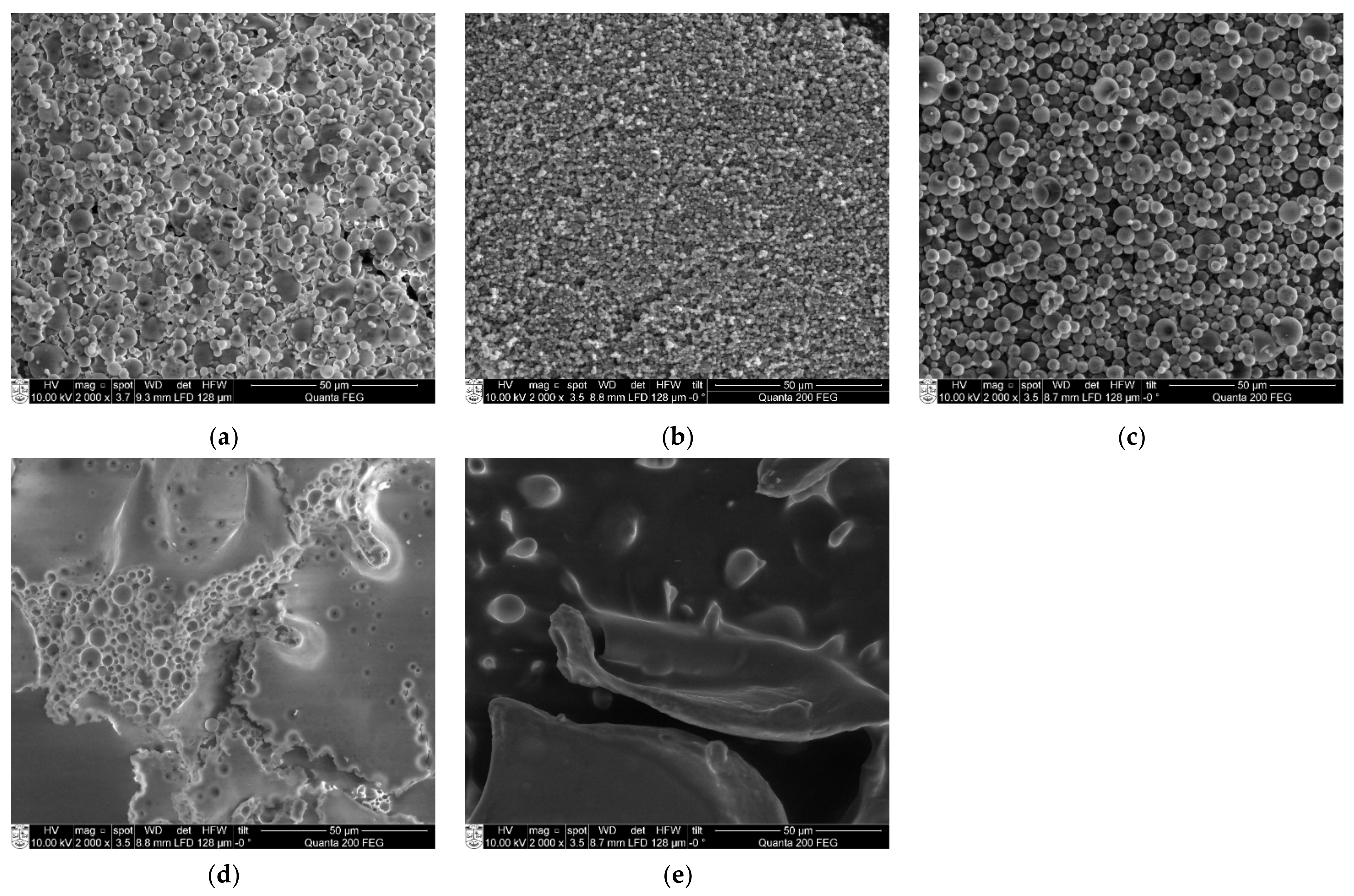 Molecules 26 03873 g005