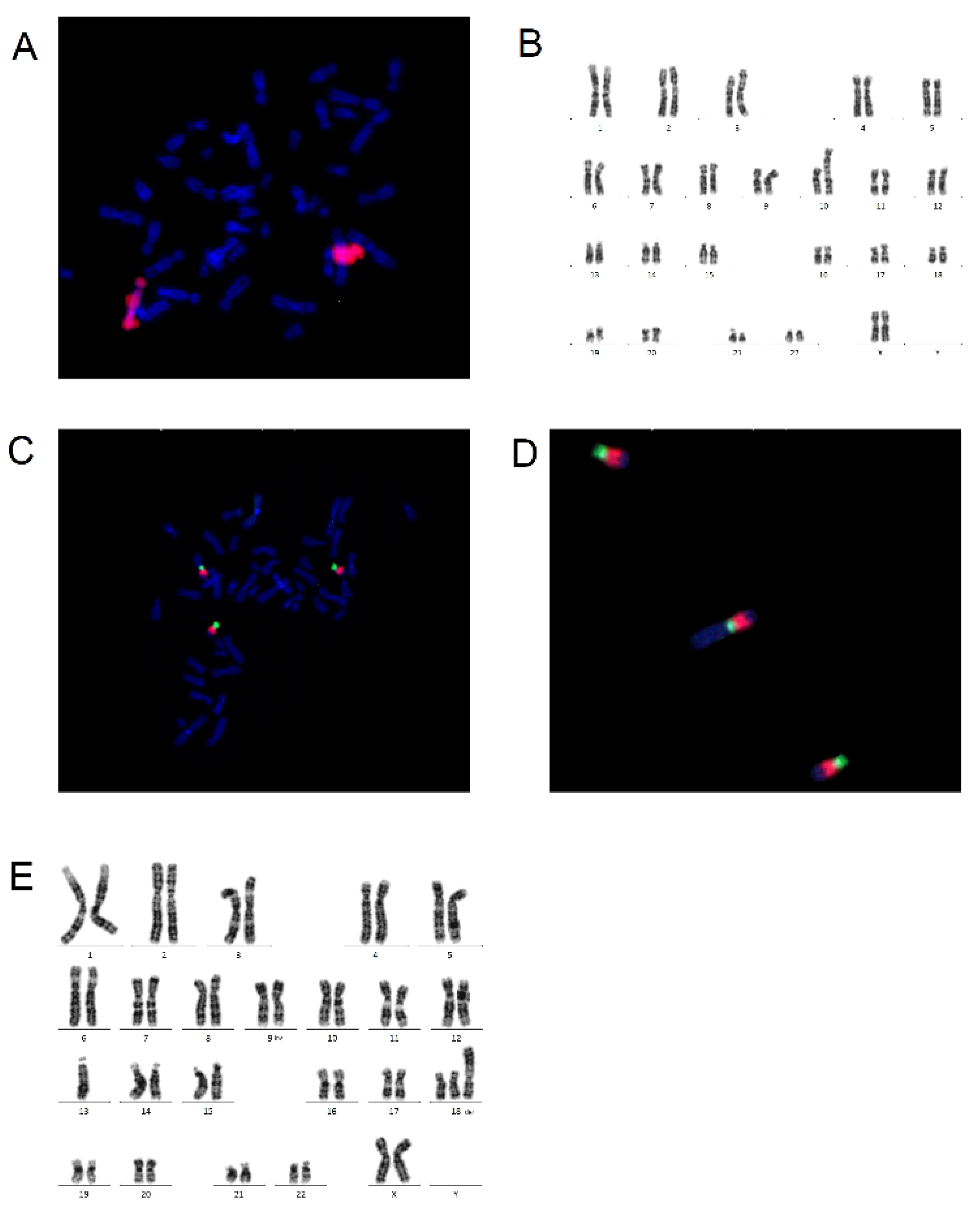 Molecules 26 03874 g003