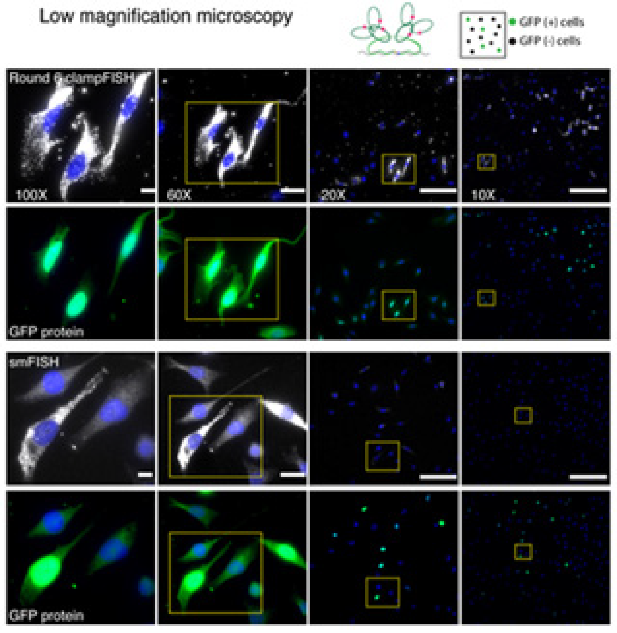 Molecules 26 03874 g006