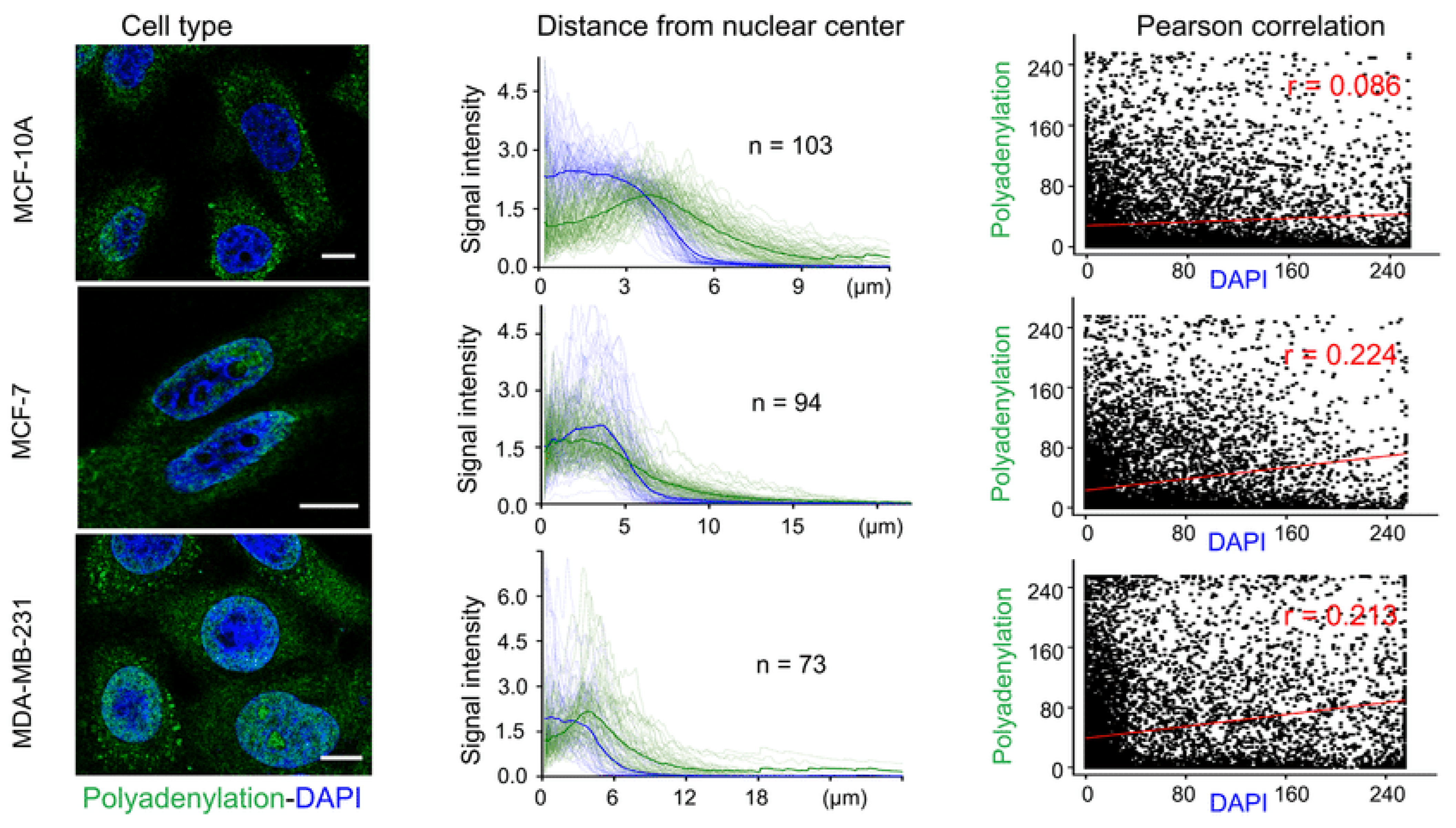 Molecules 26 03874 g007