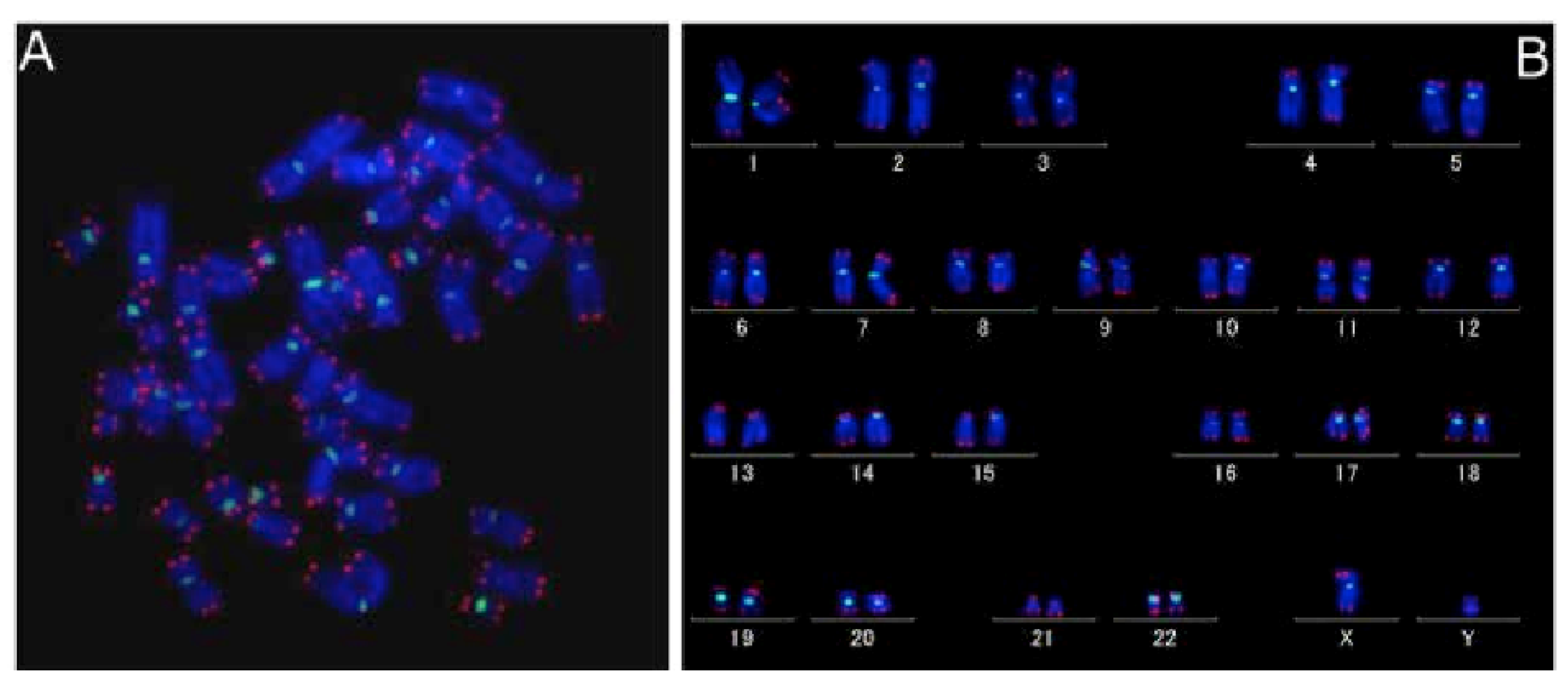 Molecules 26 03874 g008