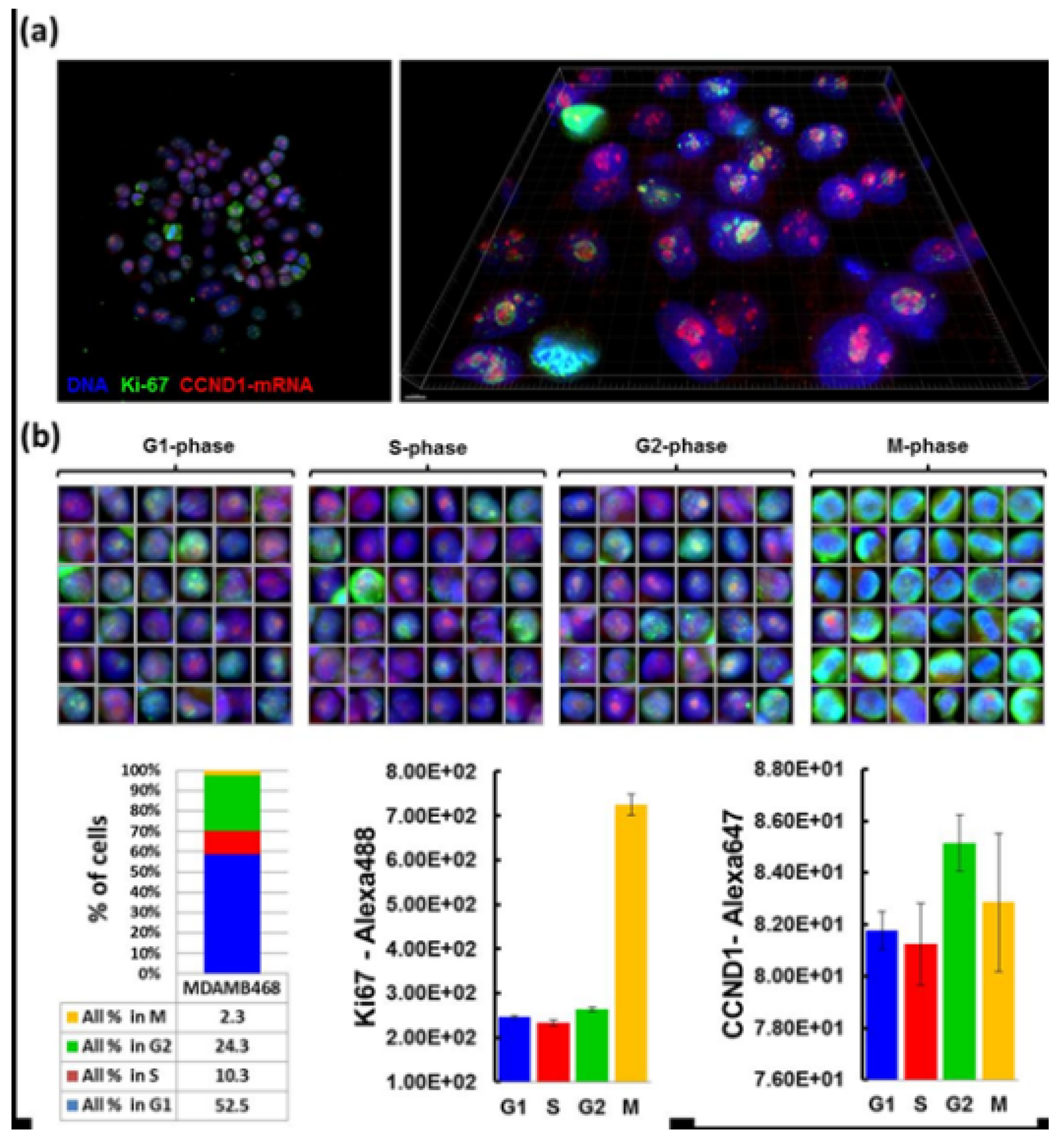 Molecules 26 03874 g009