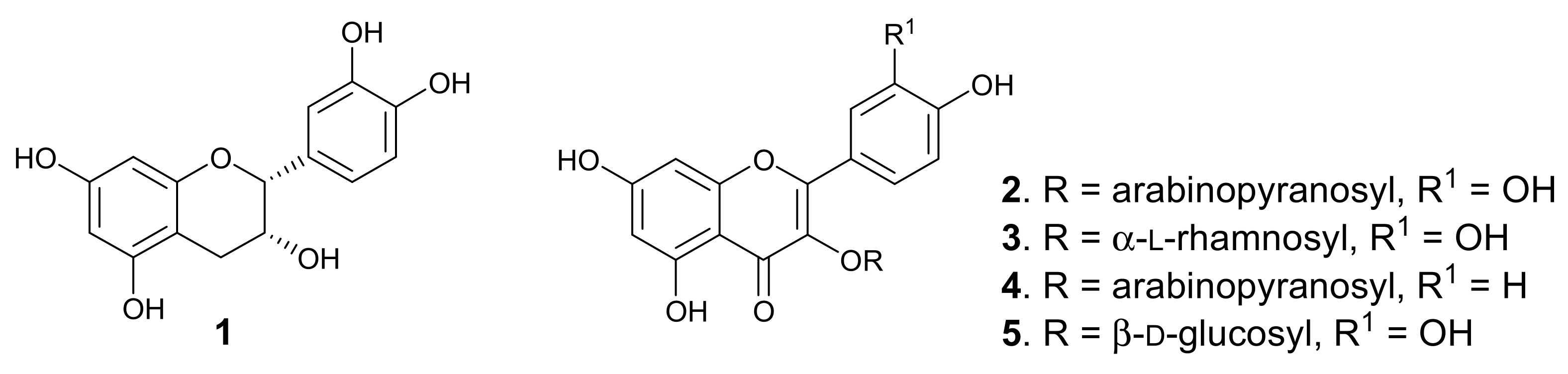 Molecules 26 03875 g001
