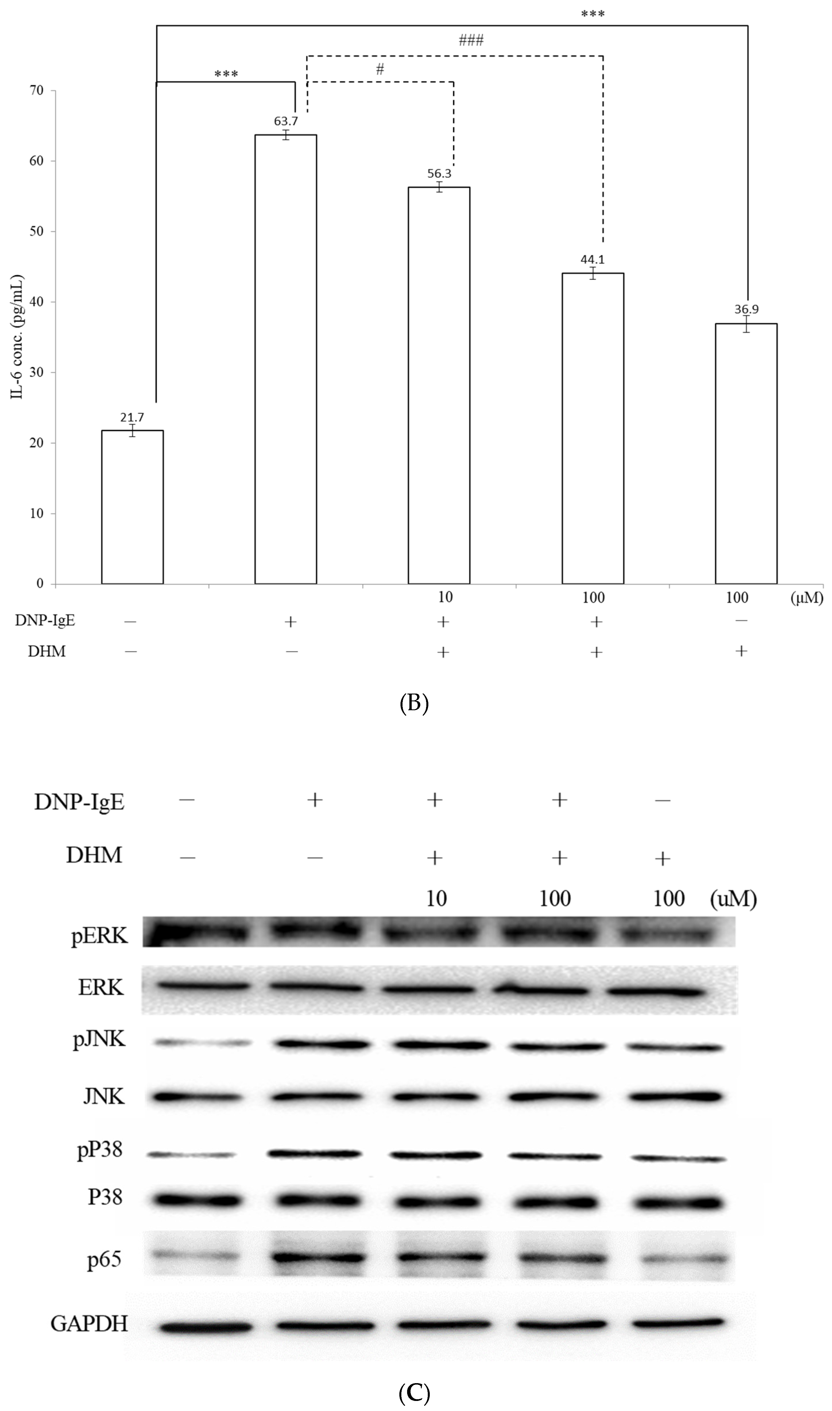 Molecules 26 03877 g003b