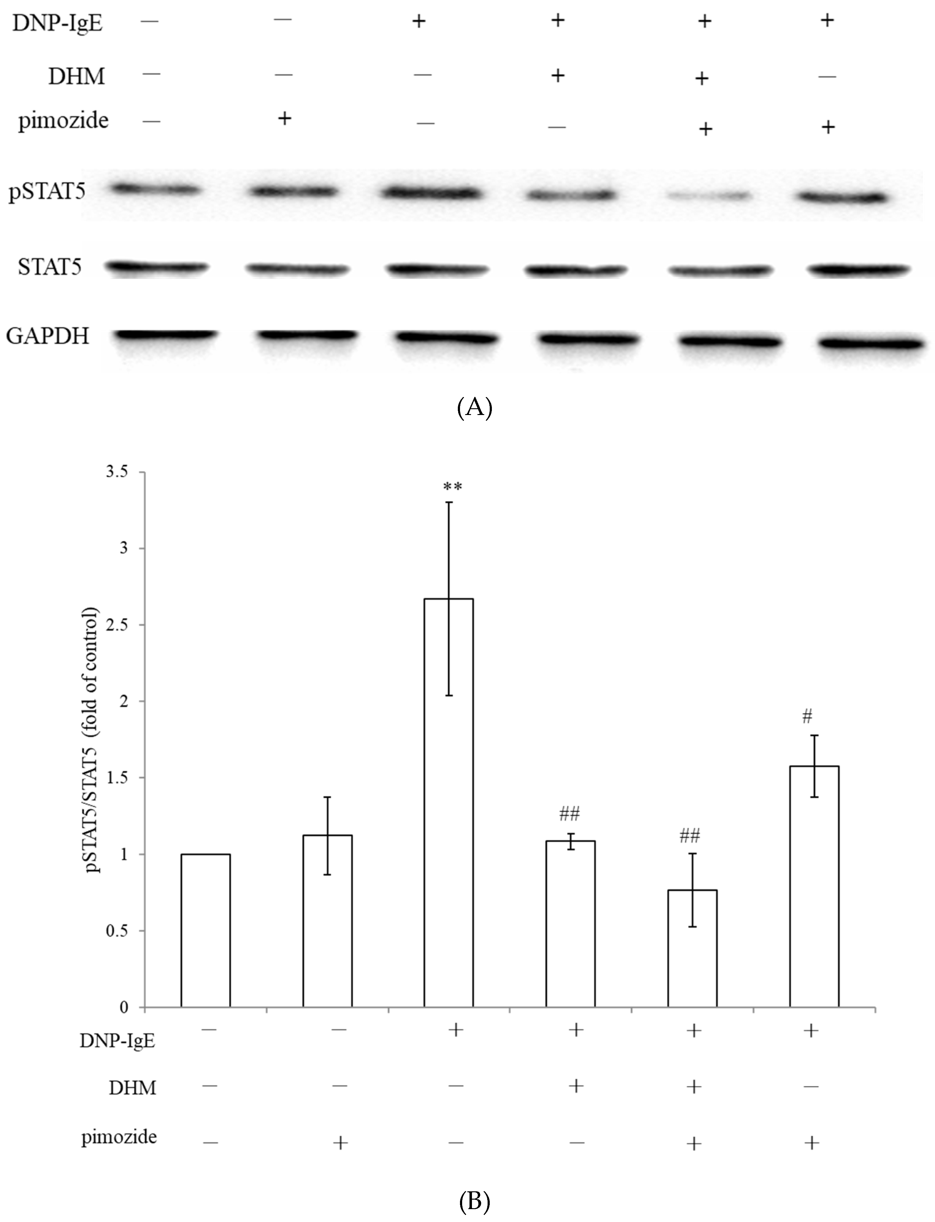 Molecules 26 03877 g005