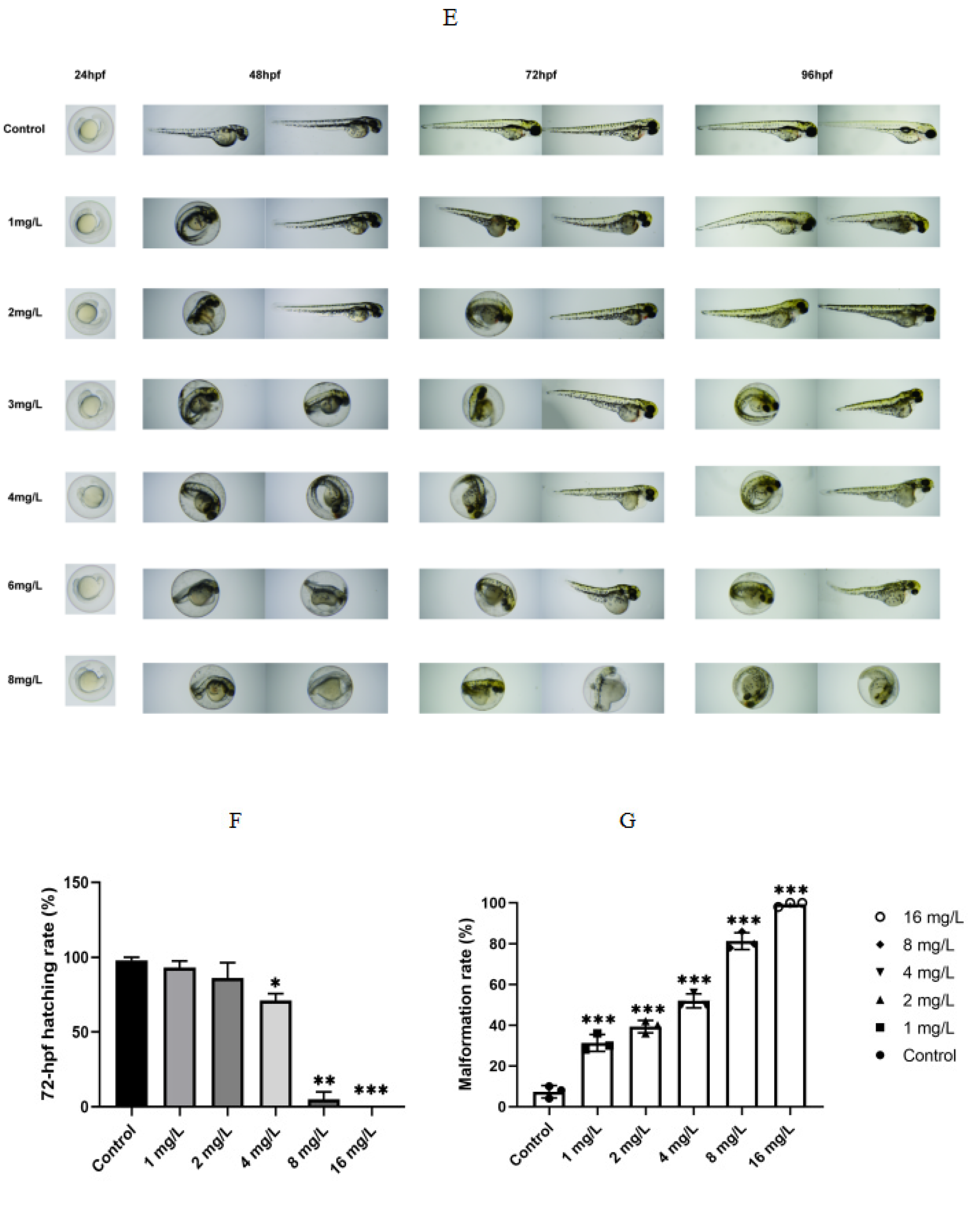 Molecules 26 03883 g004b