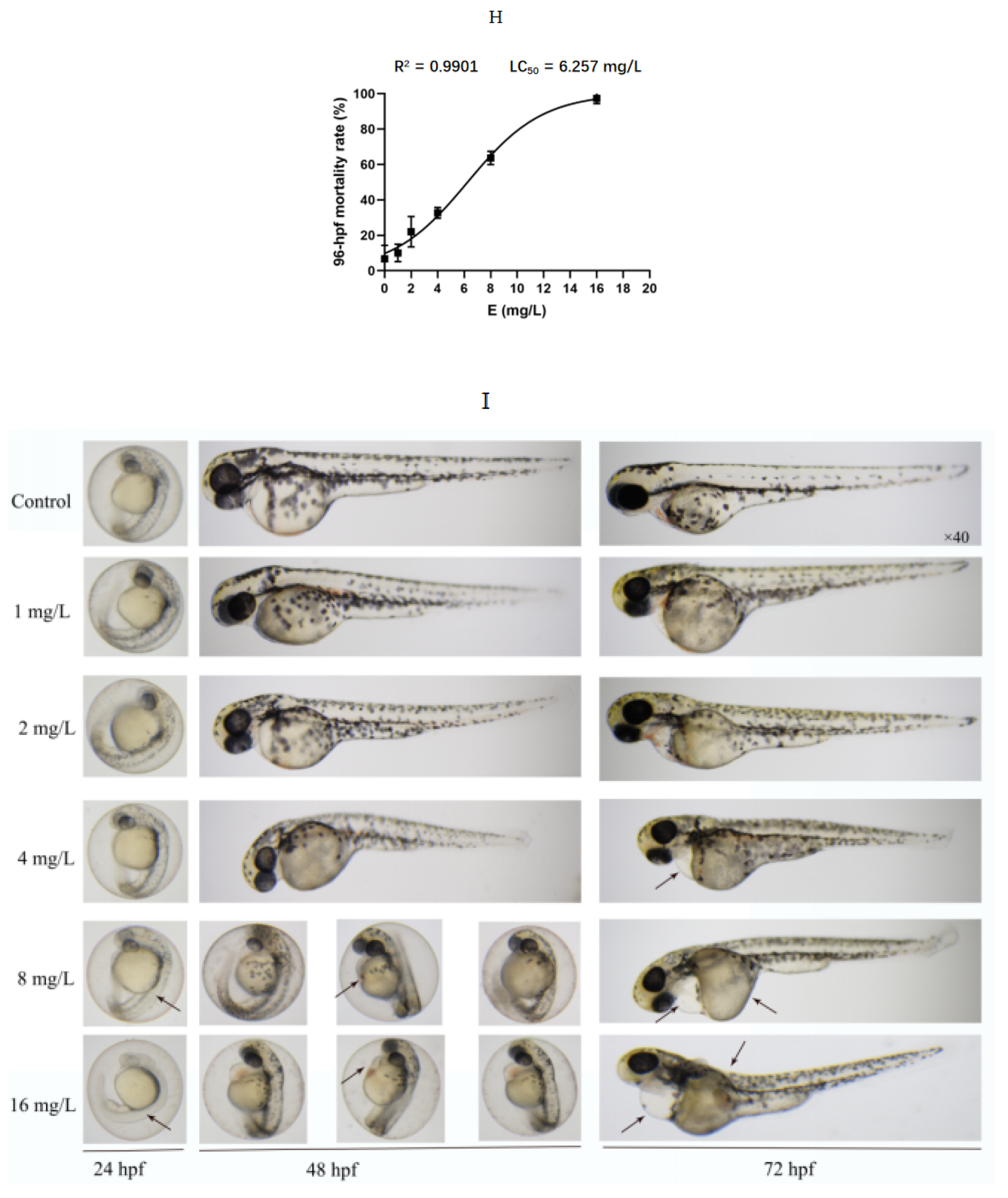 Molecules 26 03883 g004c