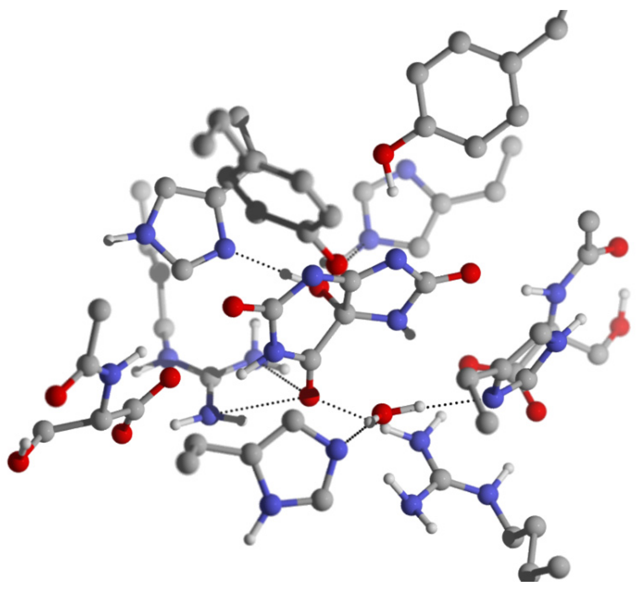 Molecules 26 03884 g005