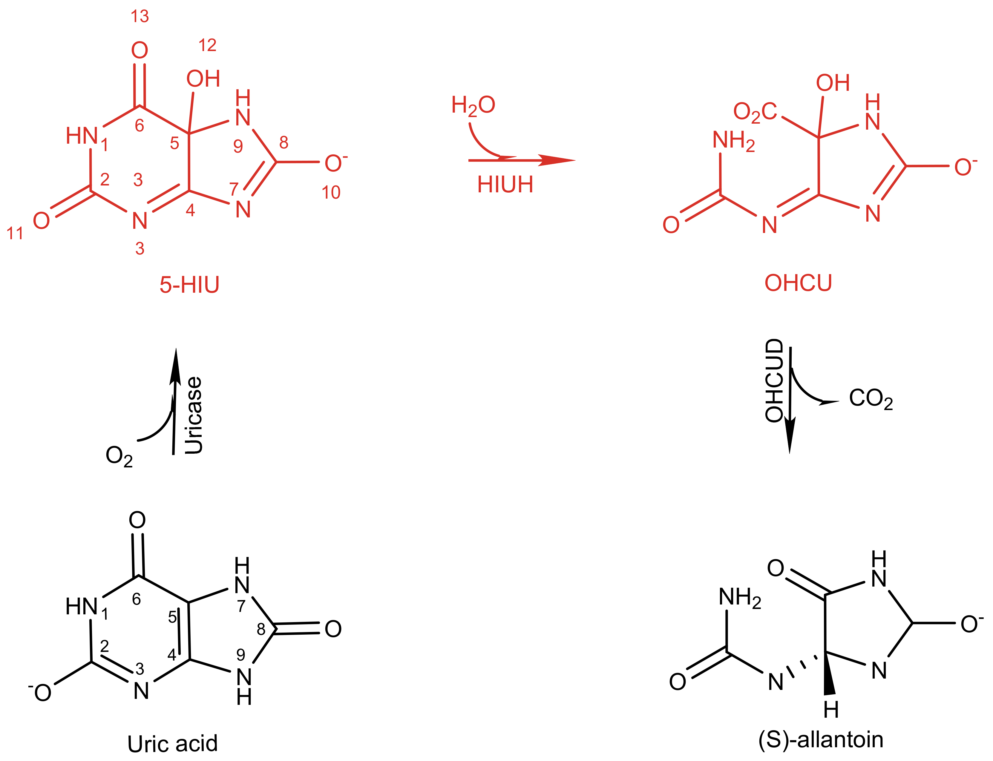 Molecules 26 03884 sch001