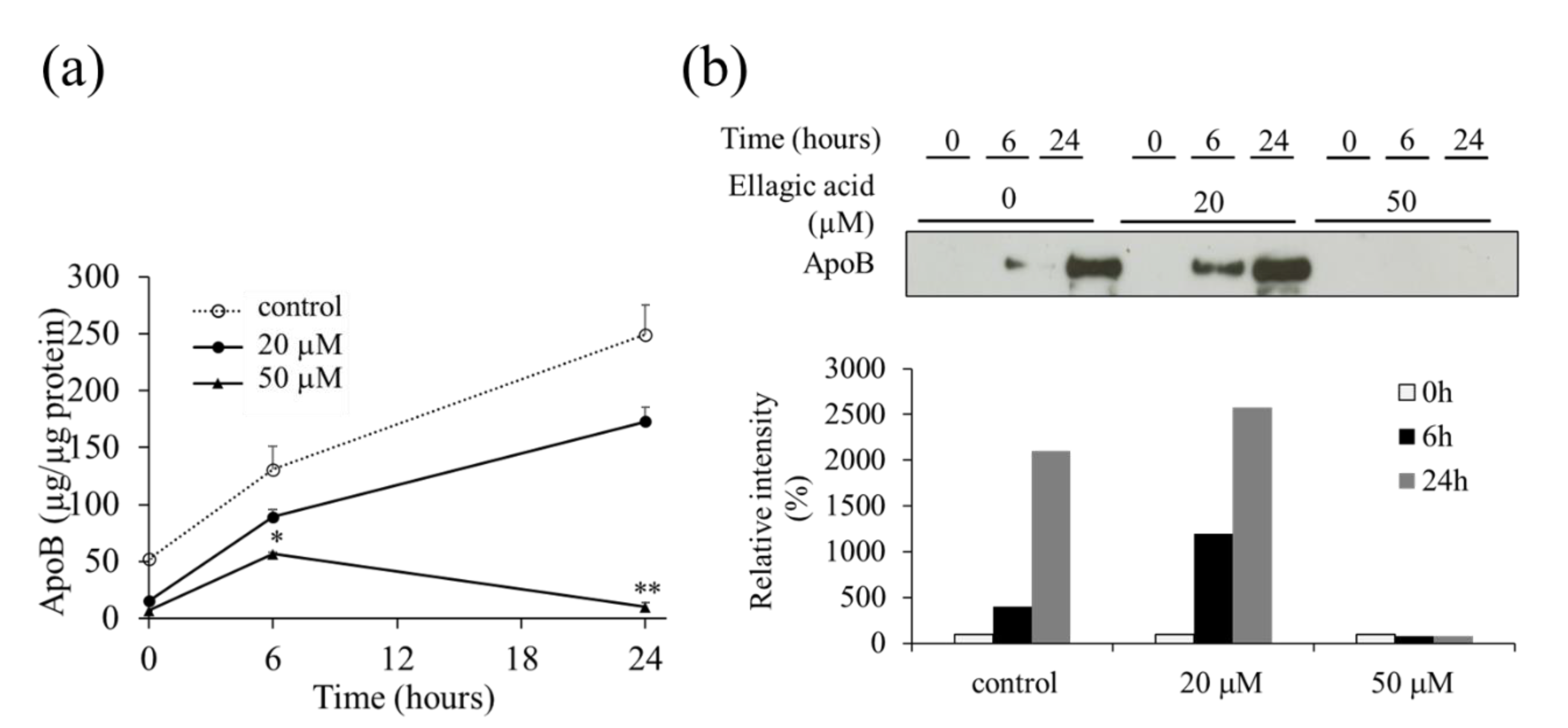 Molecules 26 03885 g003