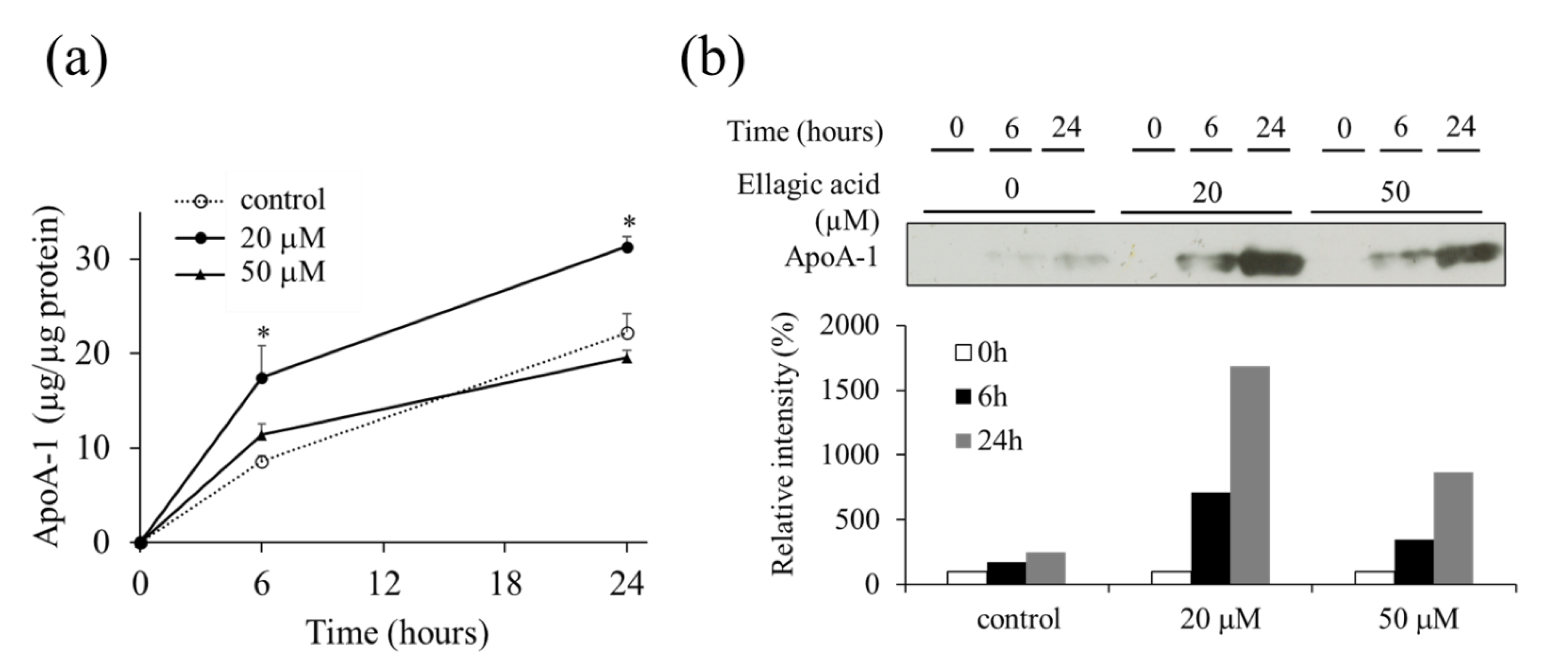 Molecules 26 03885 g004
