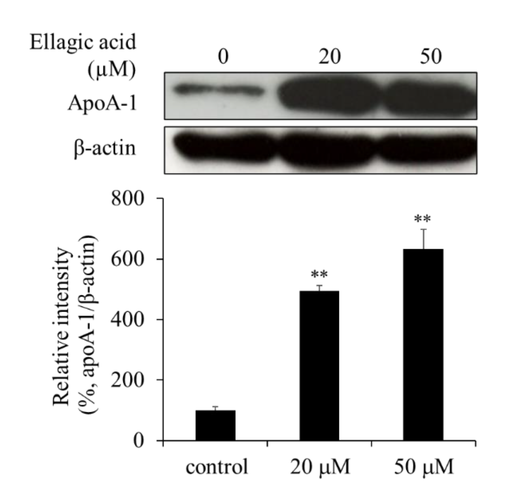 Molecules 26 03885 g006