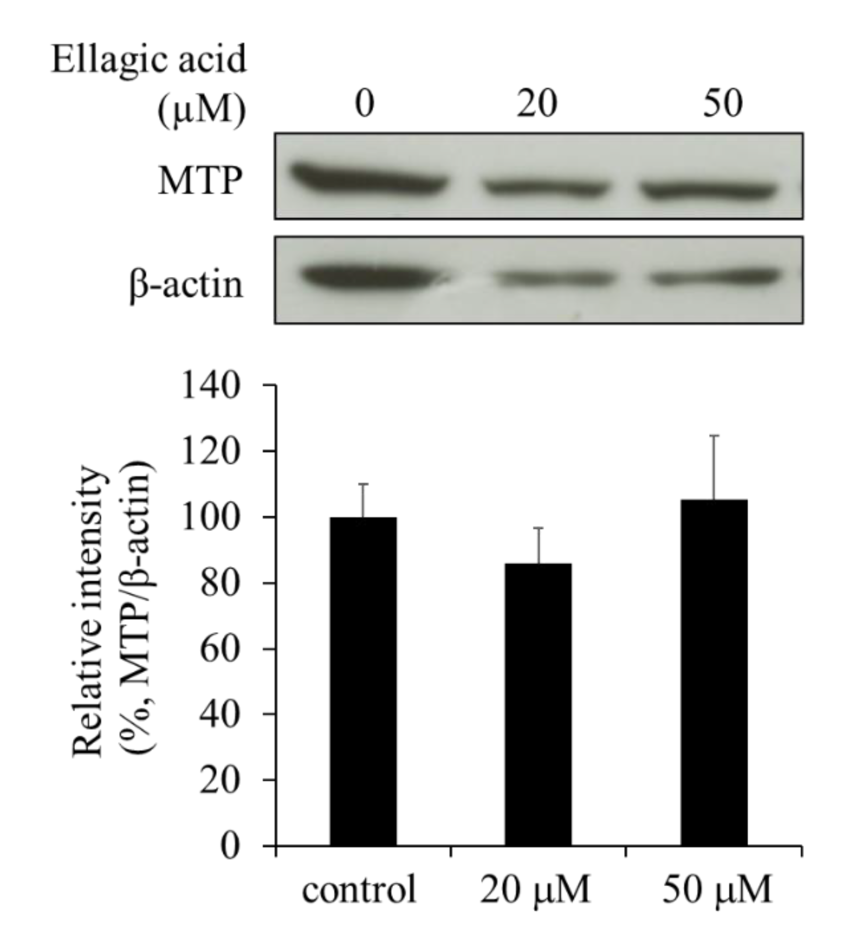 Molecules 26 03885 g007