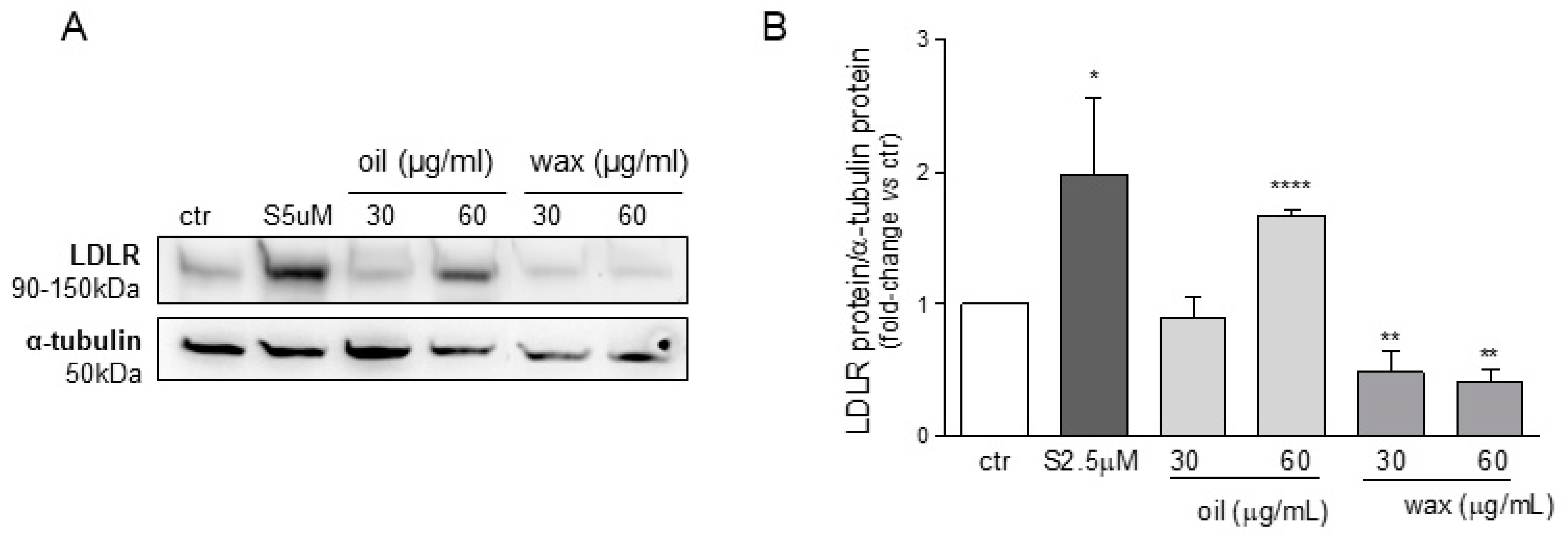 Molecules 26 03886 g003
