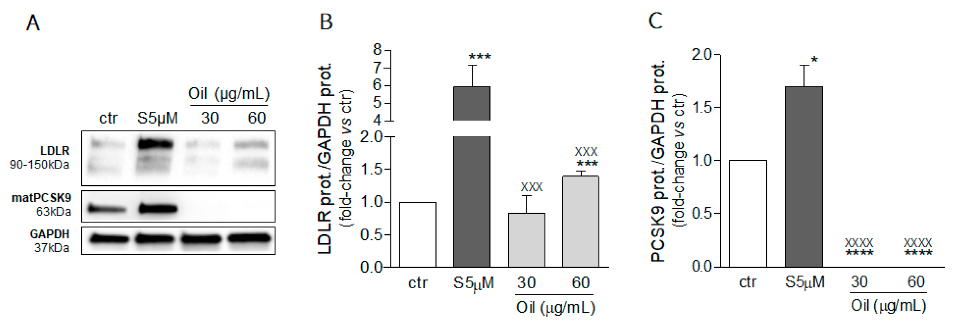 Molecules 26 03886 g004