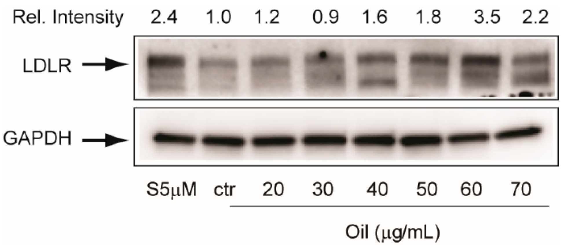 Molecules 26 03886 g005