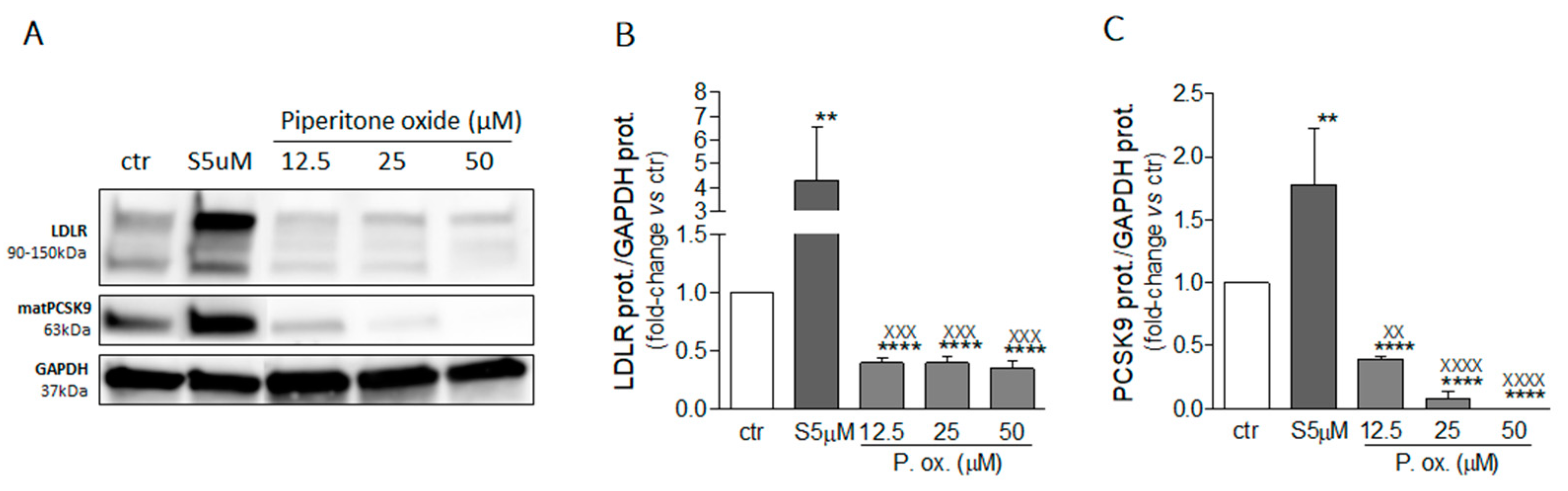 Molecules 26 03886 g007
