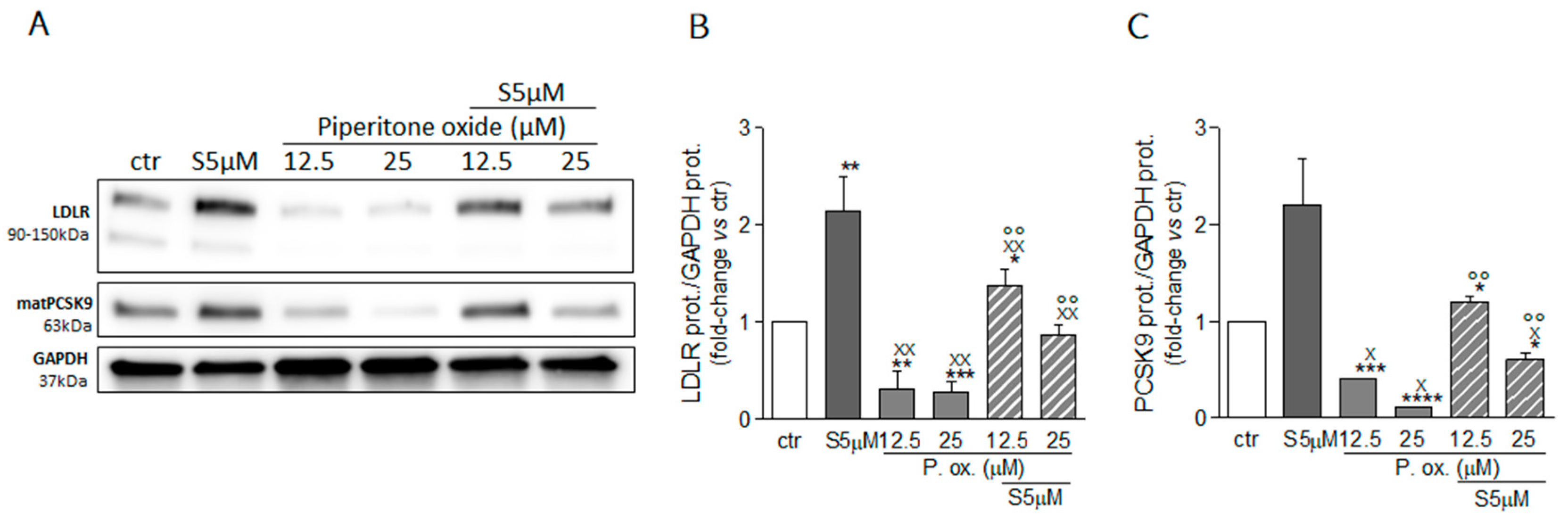Molecules 26 03886 g008