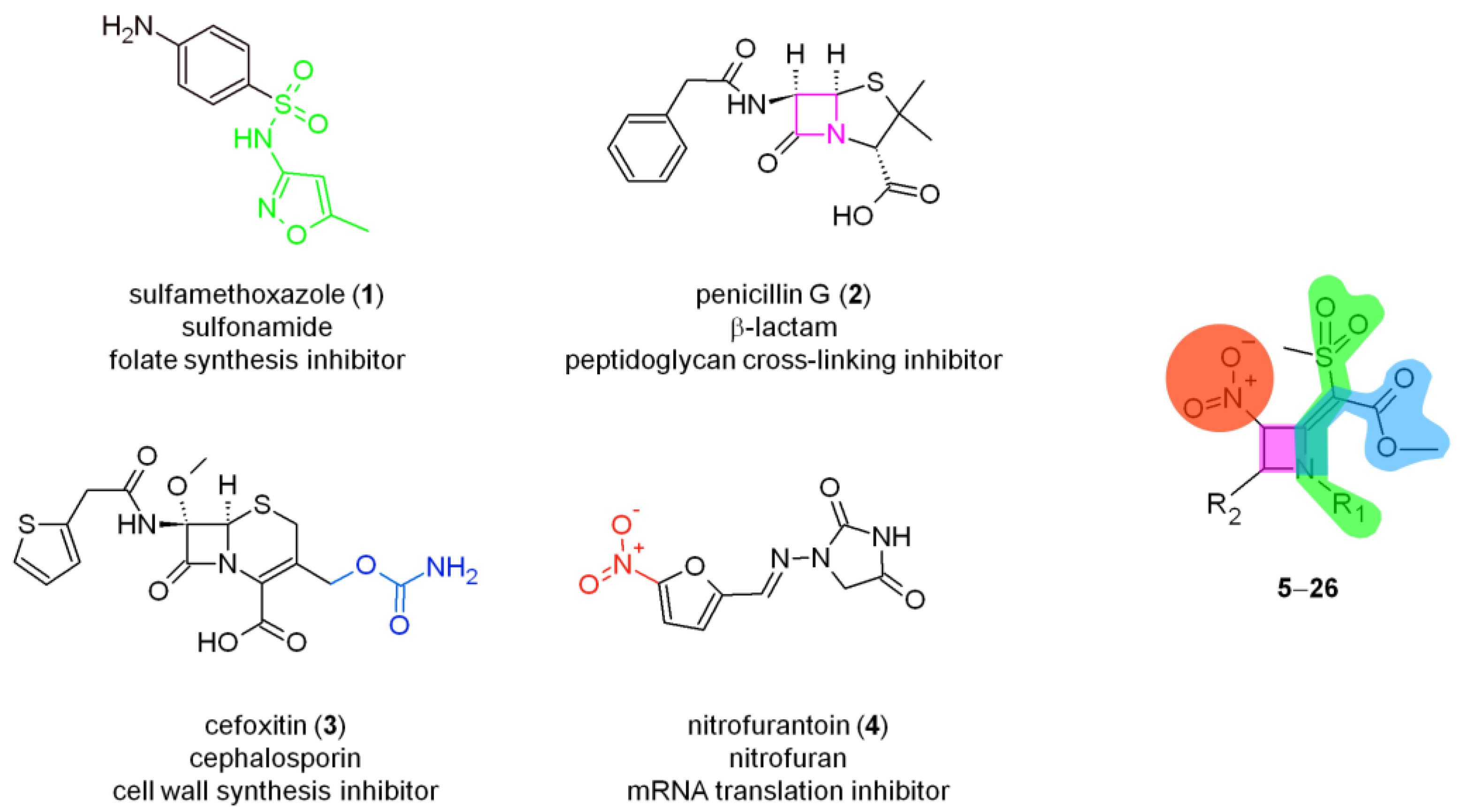 Molecules 26 03891 g002 Molecules 26 03891 g002
