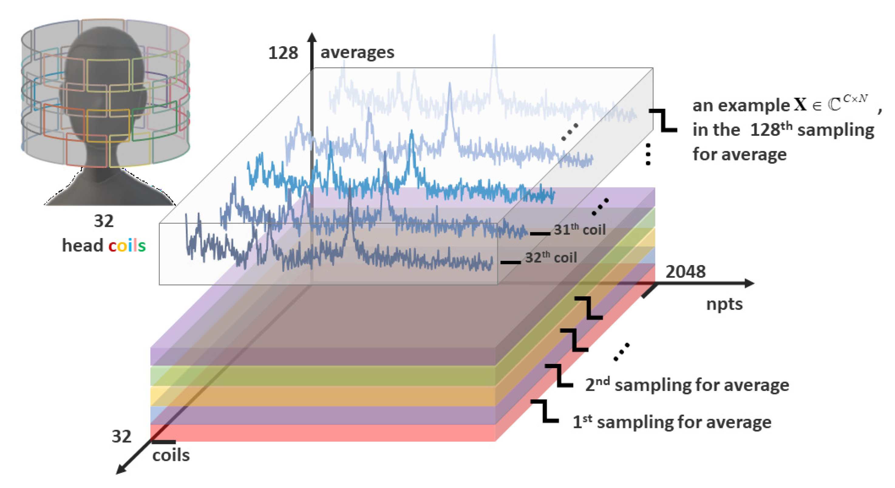 Molecules 26 03896 g001